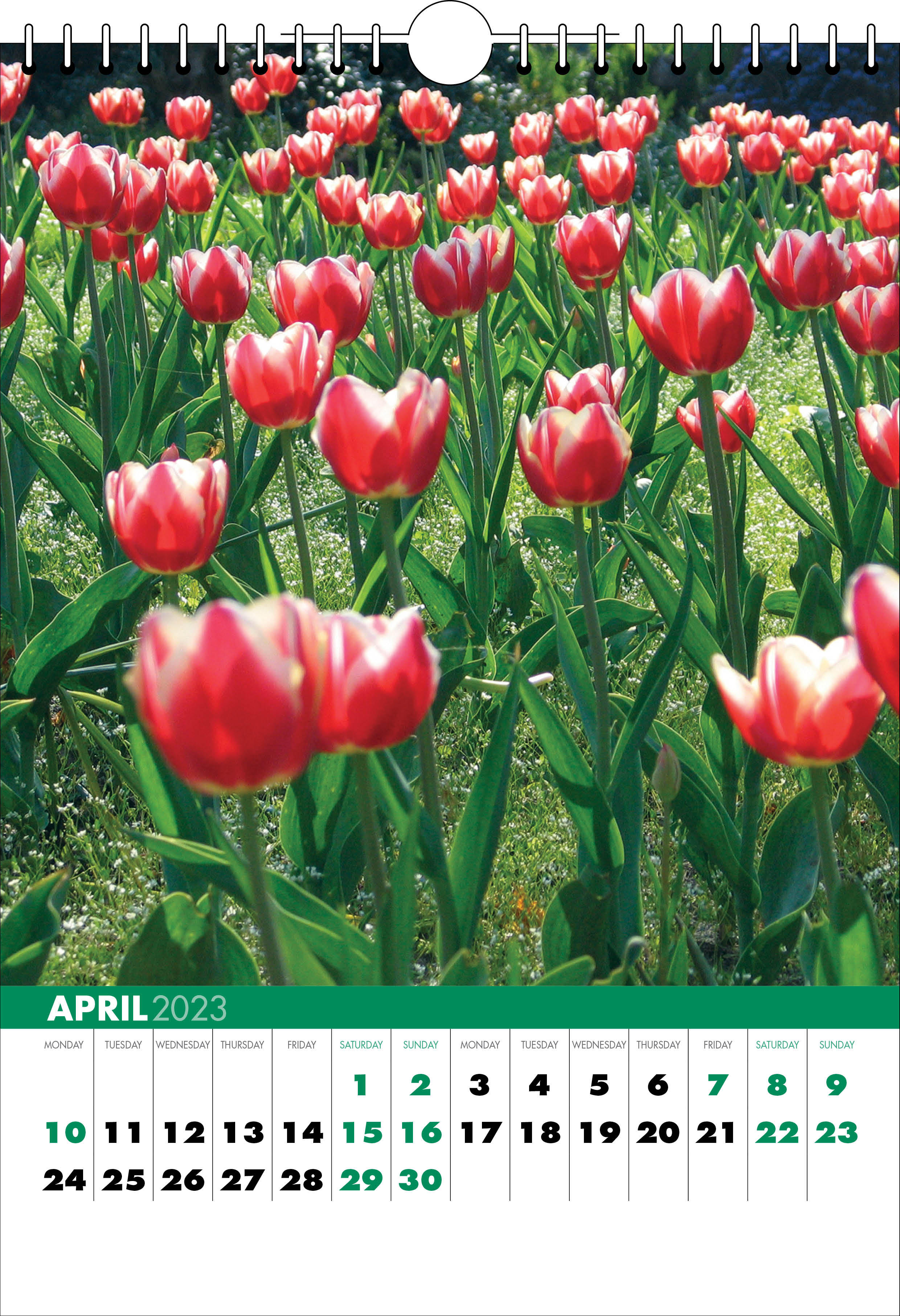 Picture of Spiral Calendar S05 Green