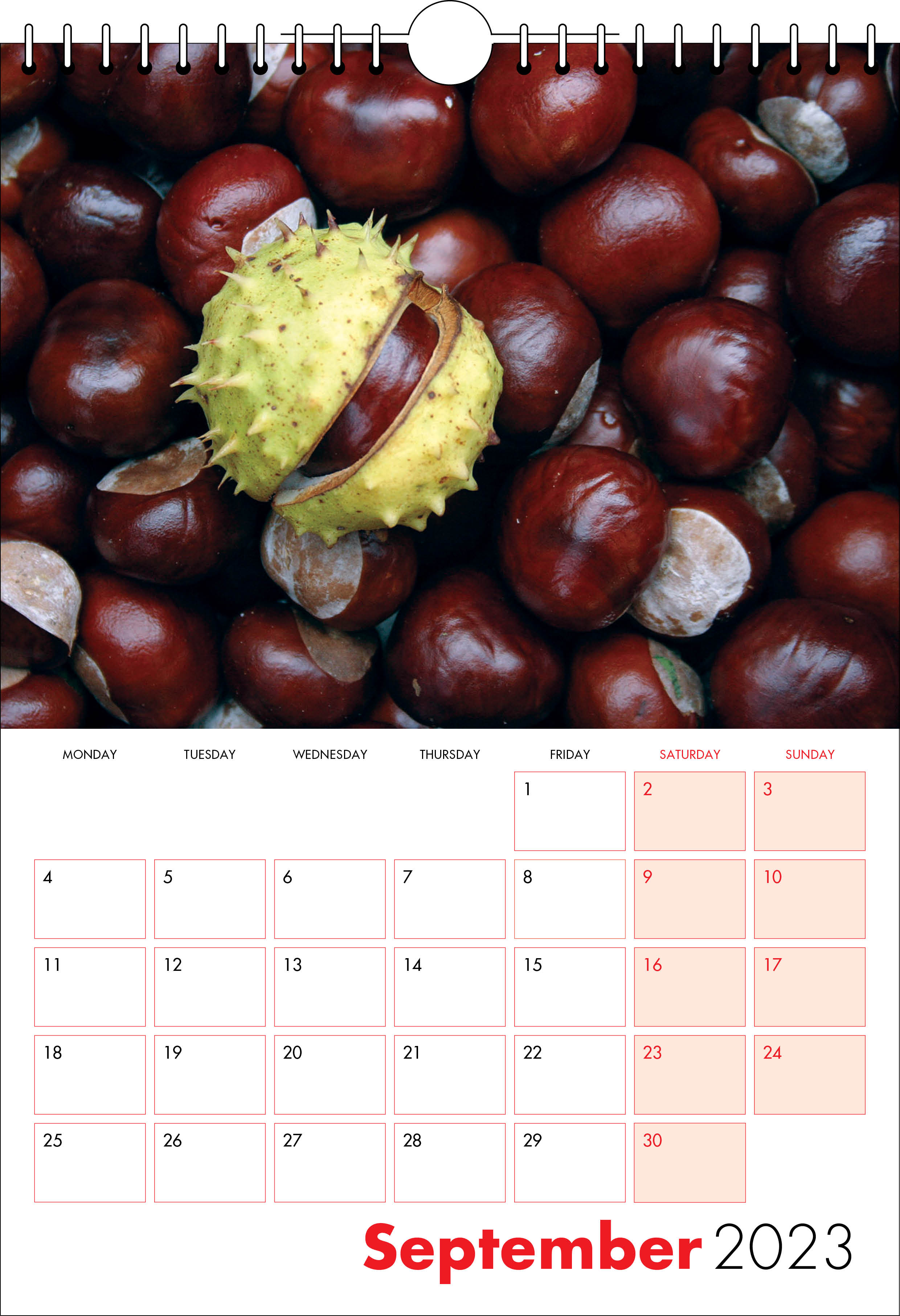 Picture of Spiral Calendar S11 Red
