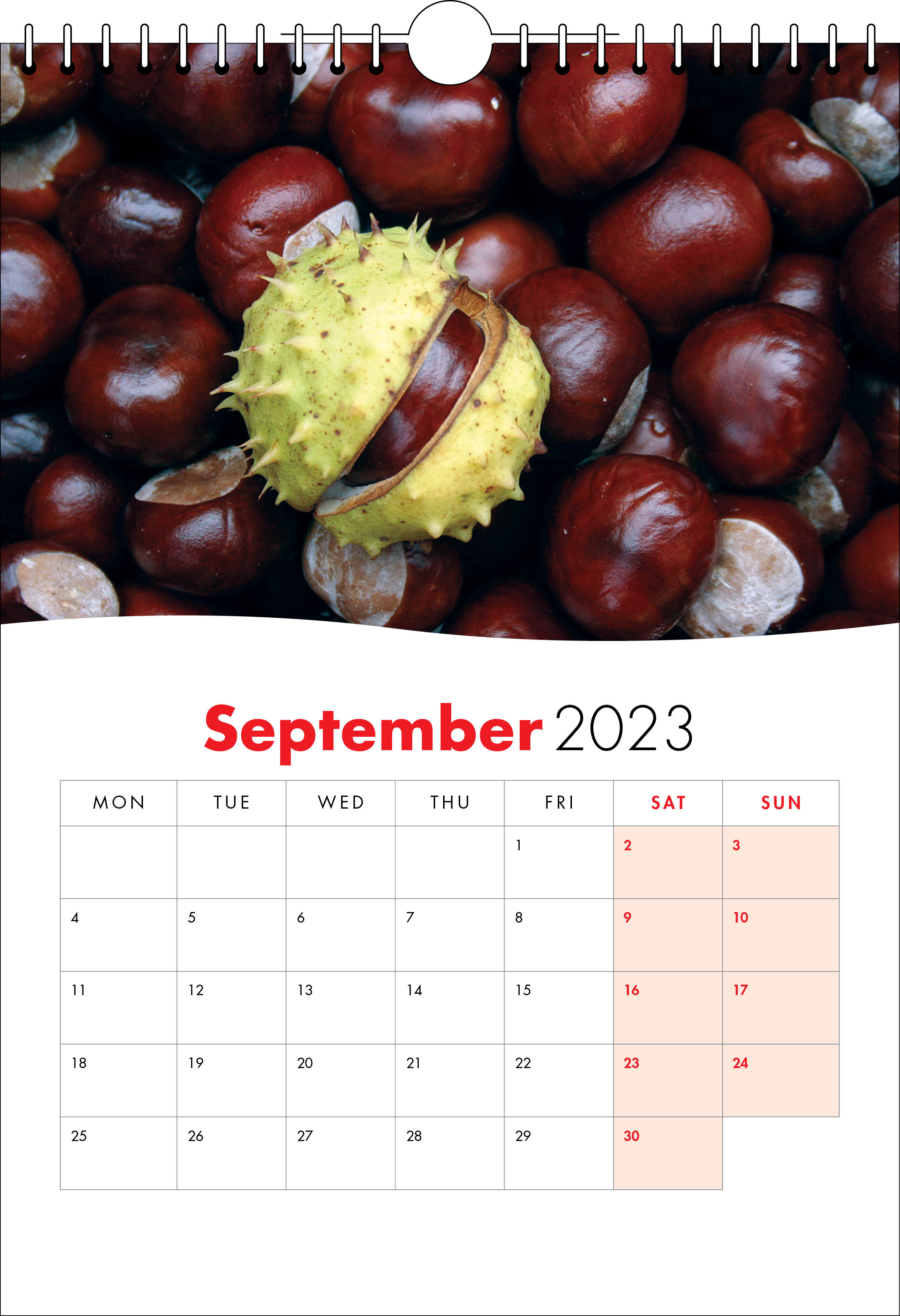 Picture of Spiral Calendar S21 Red