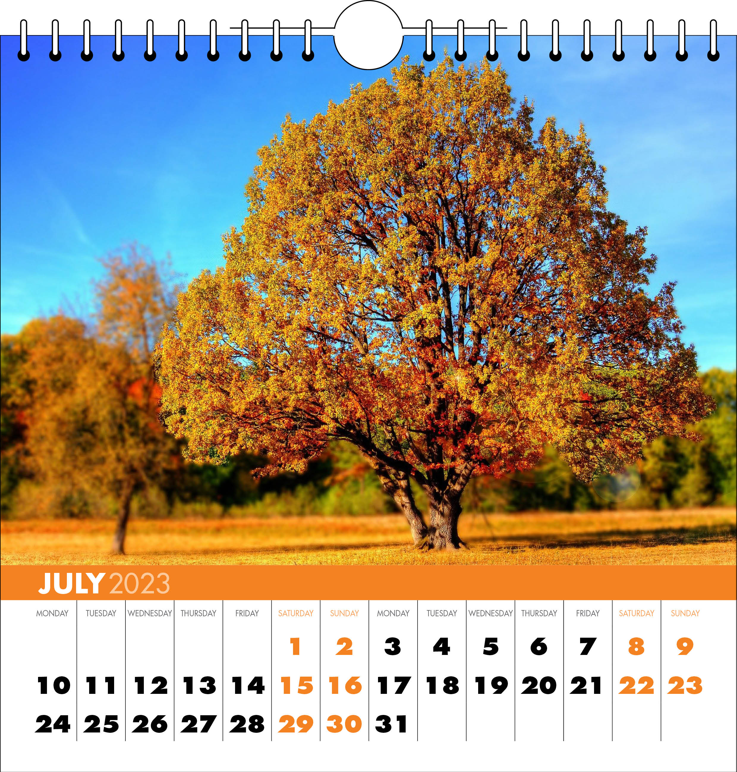 Picture of Spiral Calendar Q05 Orange