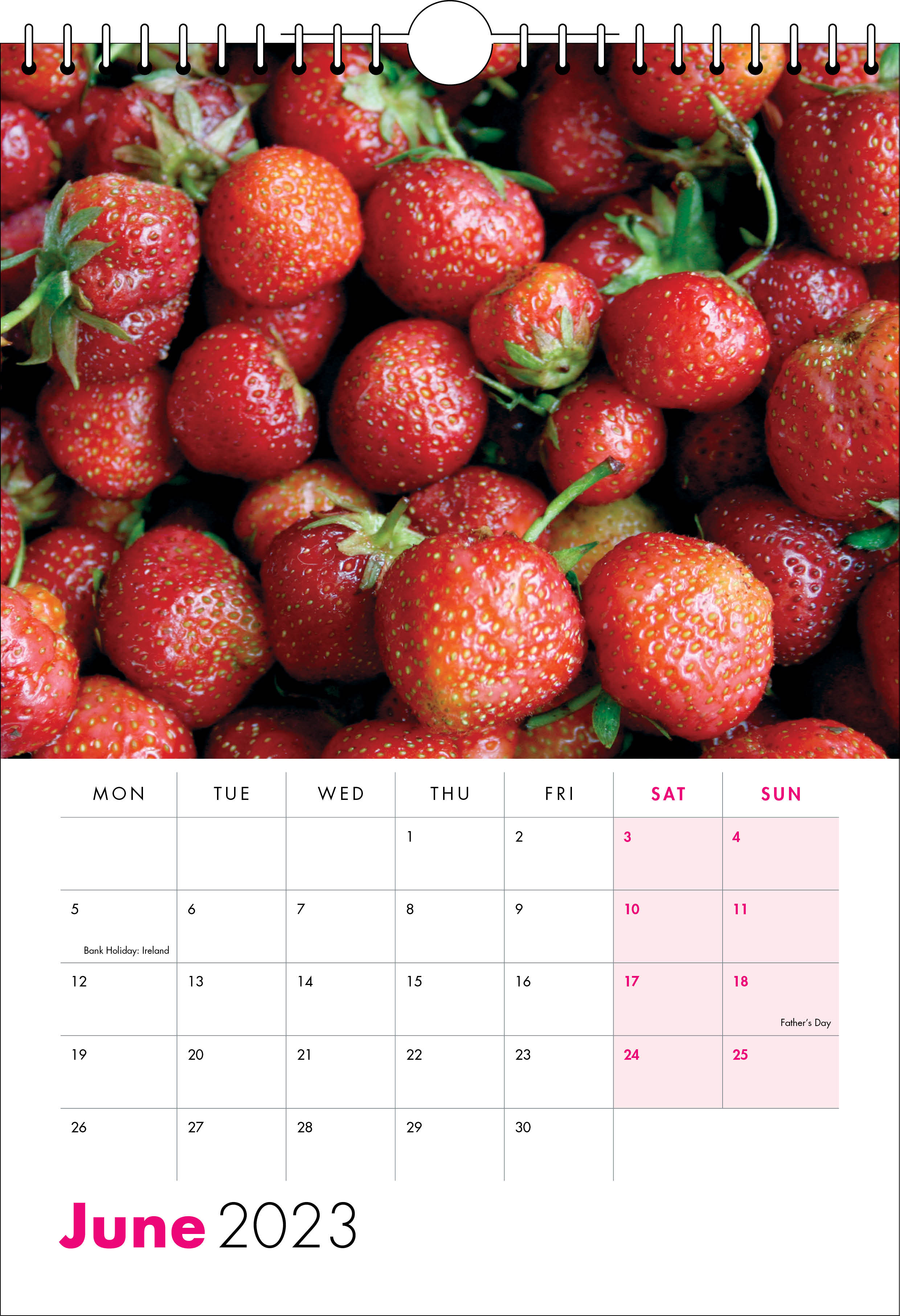 Picture of Spiral Calendar S23 Hot Pink