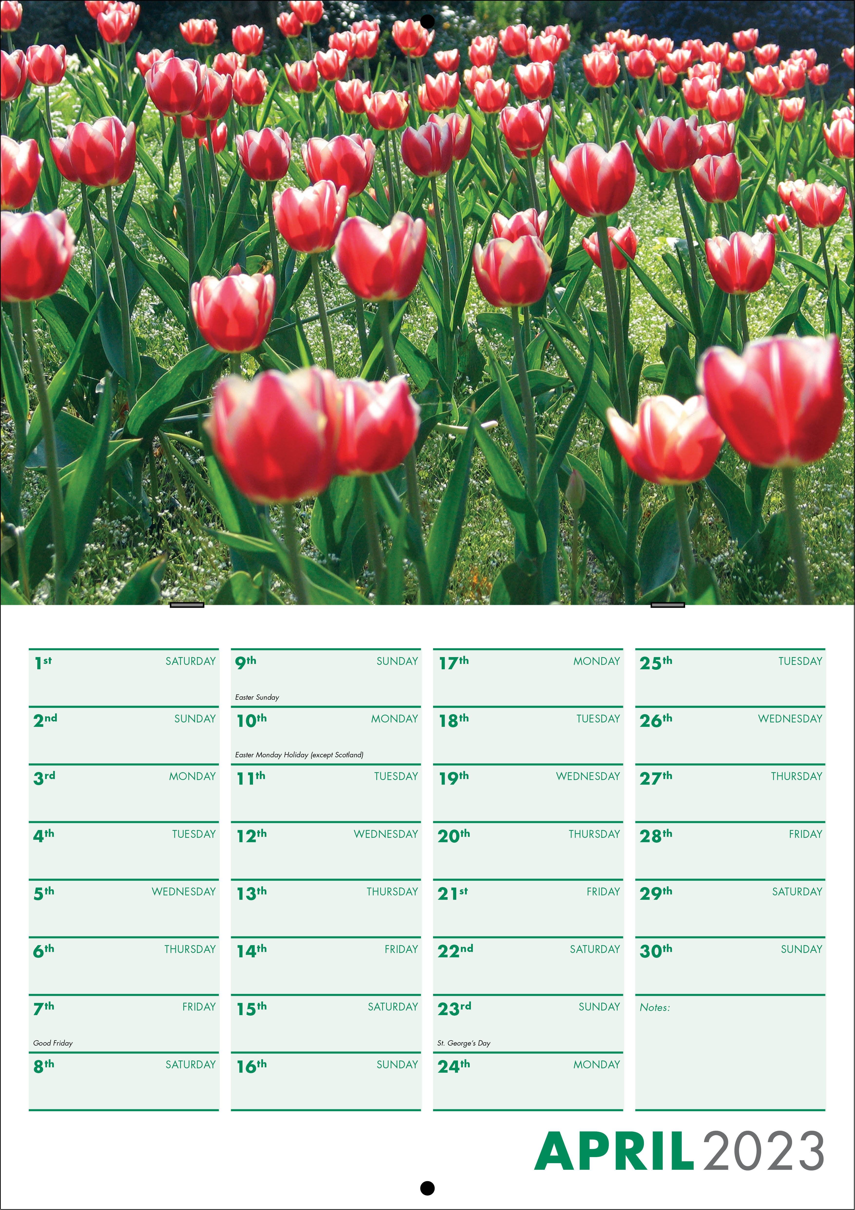 Picture of Booklet Calendar B02 Green