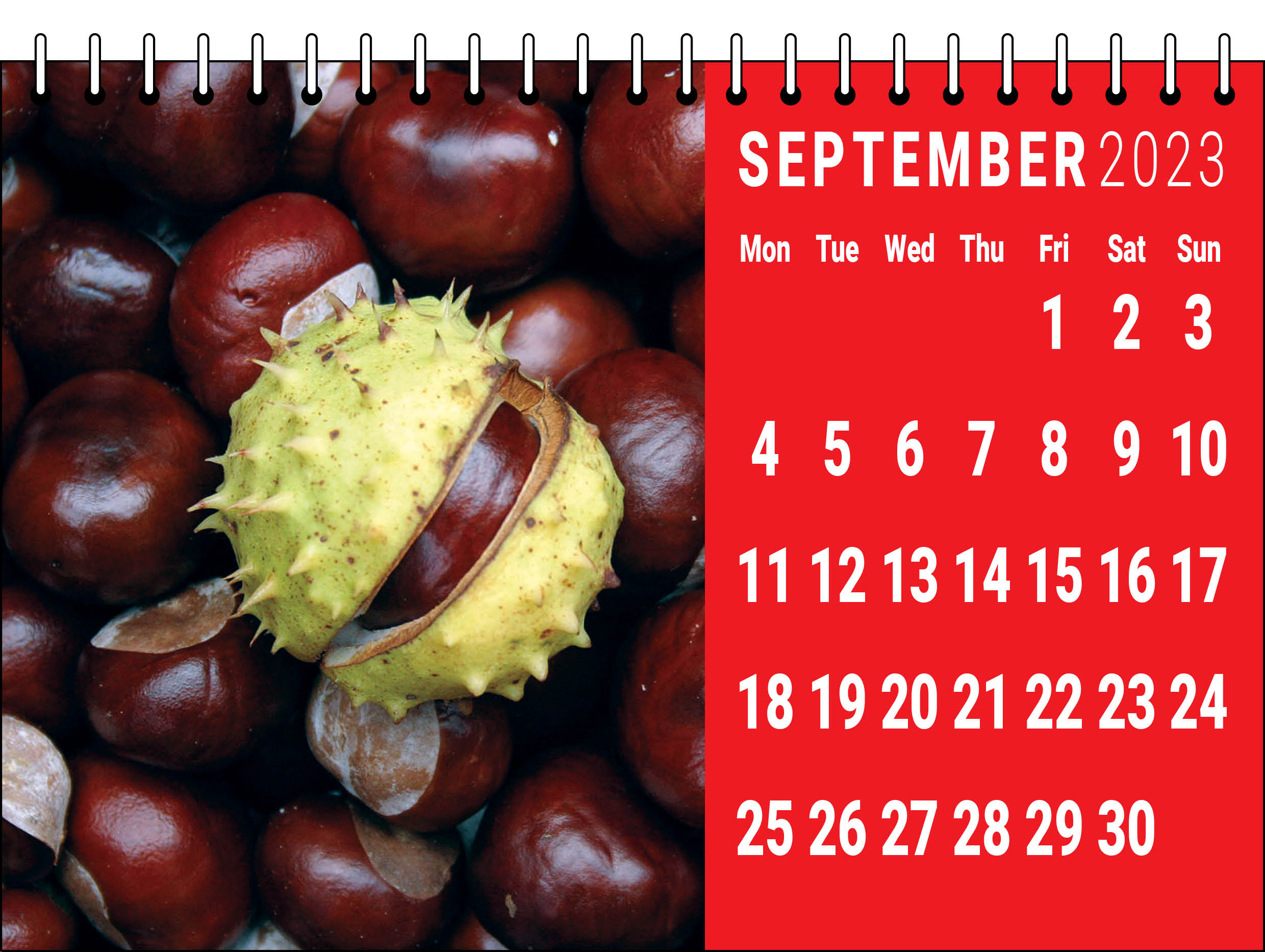 Picture of Desk Calendar D08 Red
