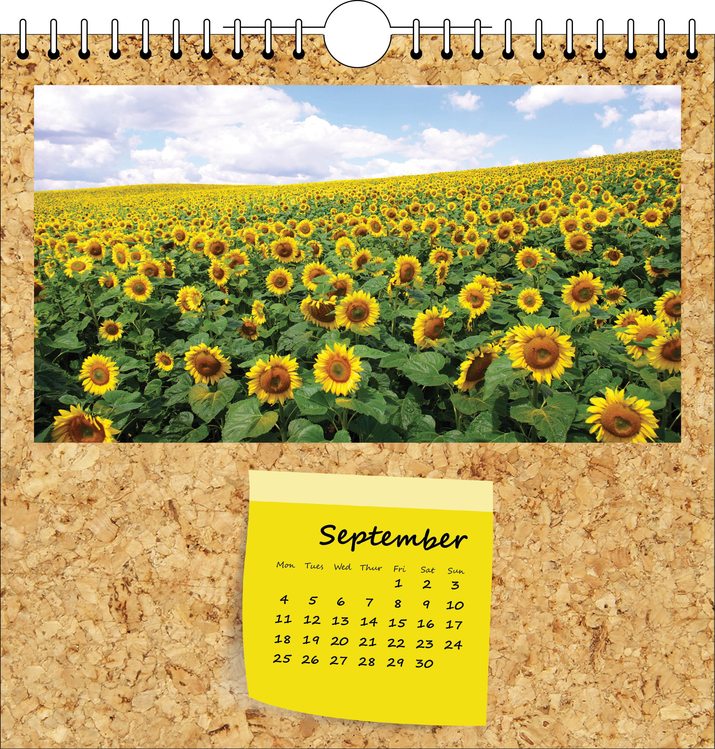 Picture of Spiral Calendar Q15 Yellow