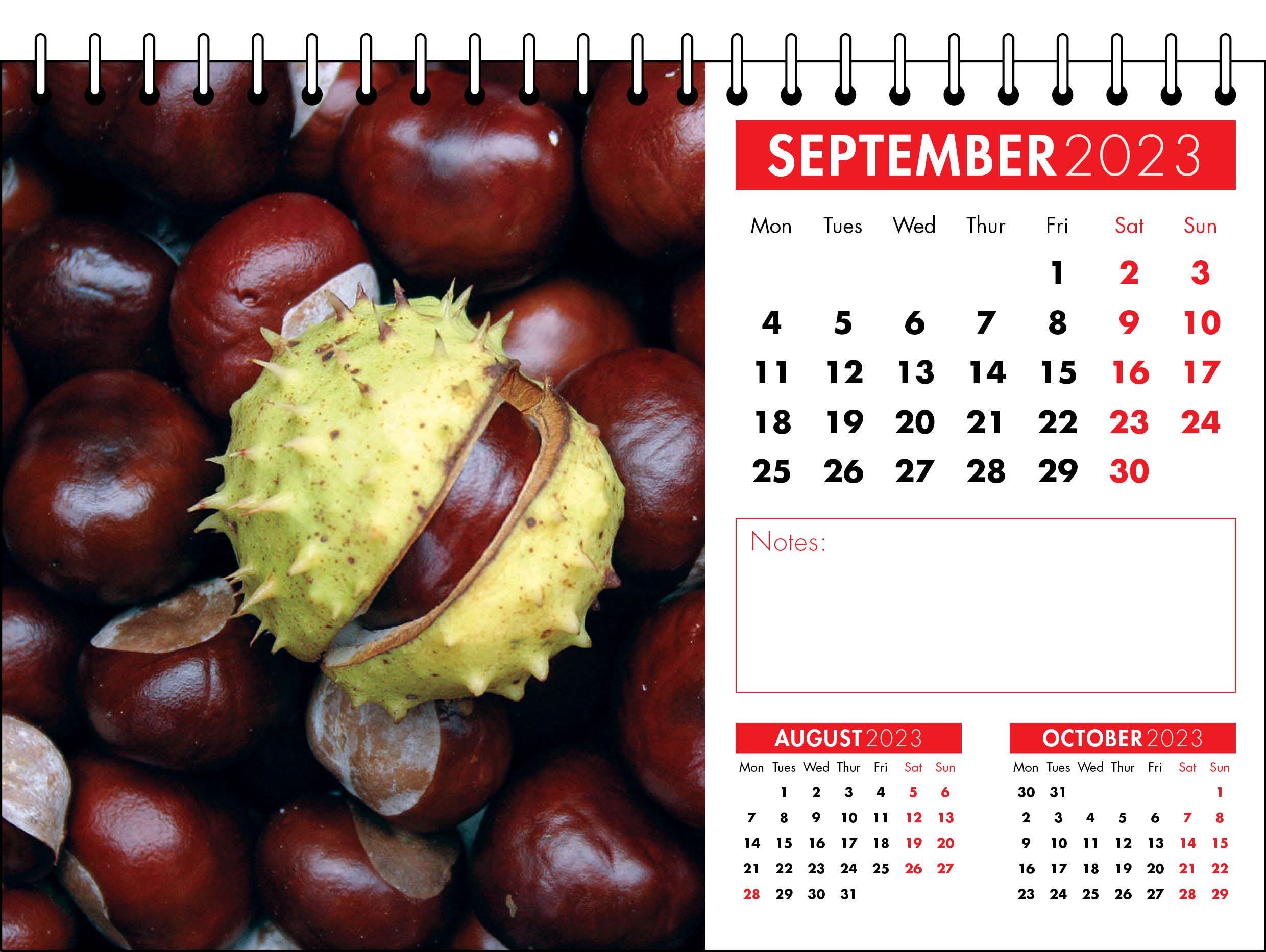 Picture of Desk Calendar D01 Red