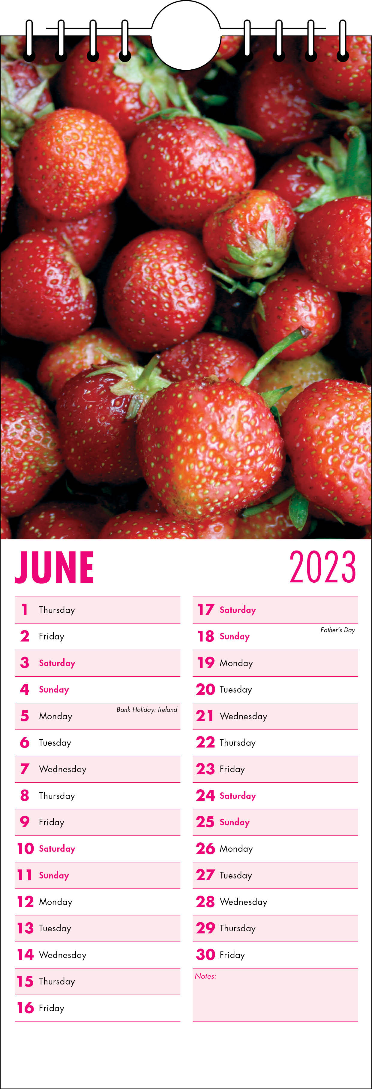 Picture of Kitchen Calendar K07 Hot Pink
