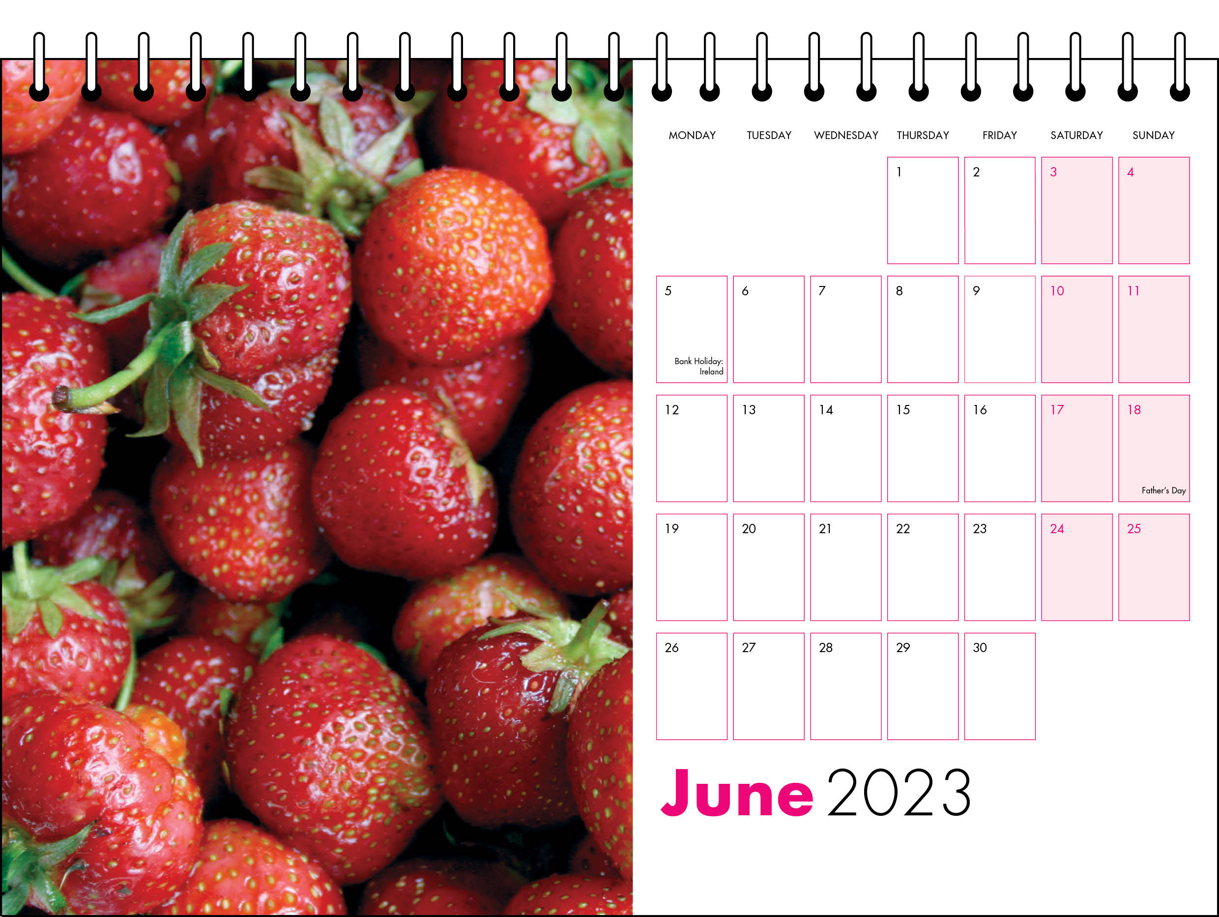 Picture of Desk Calendar D11 Hot Pink