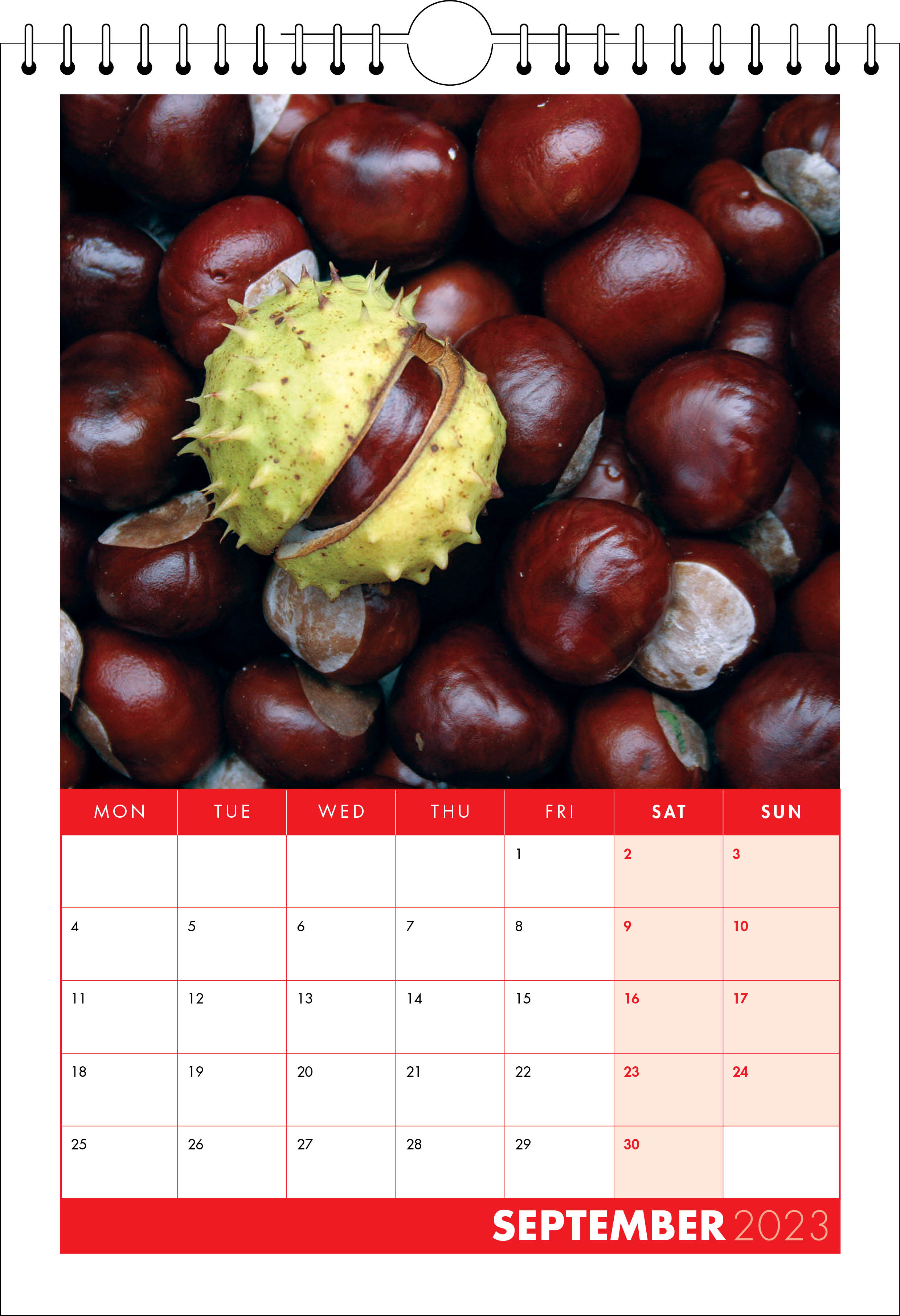 Picture of Spiral Calendar S14 Red
