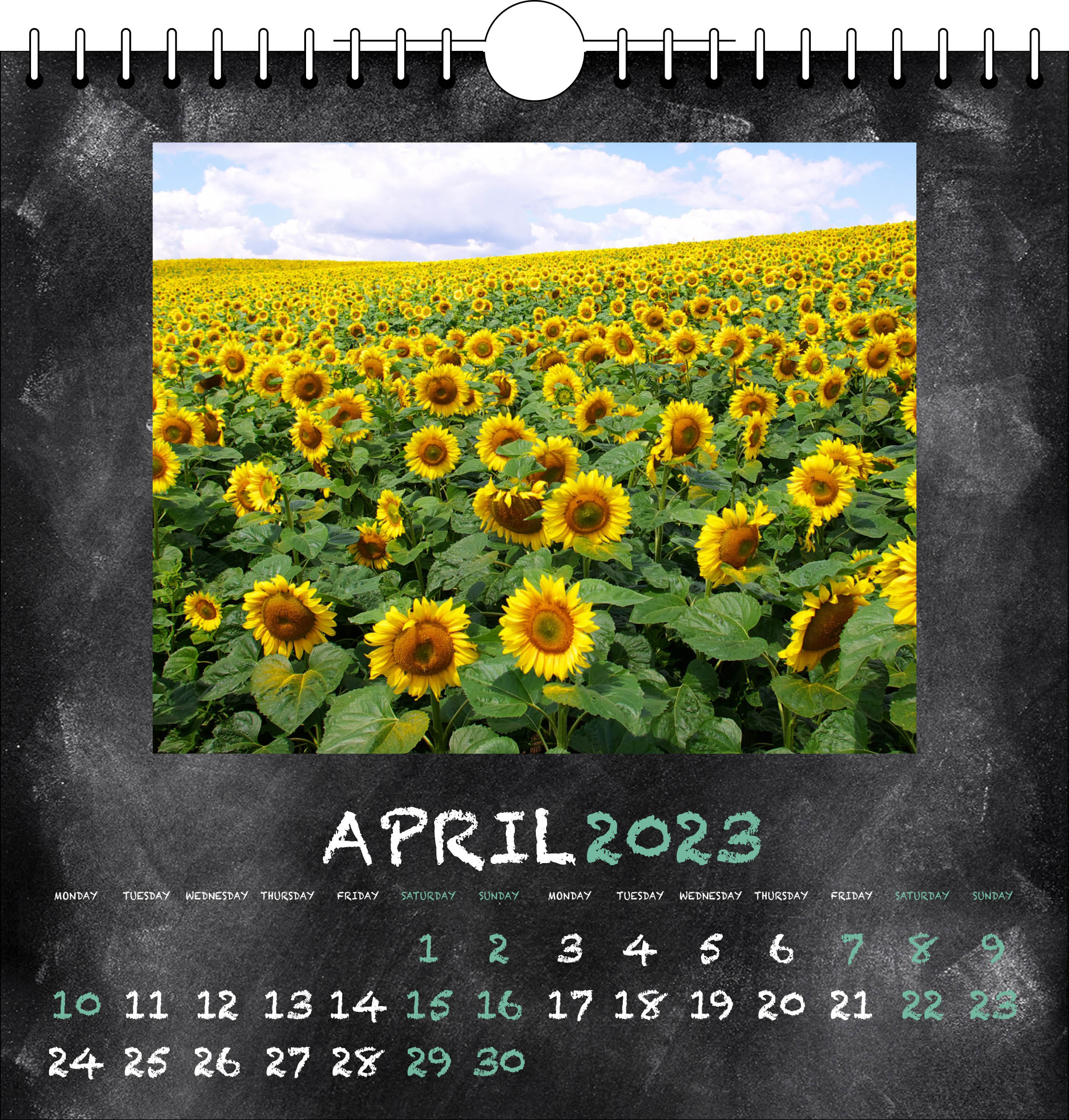 Picture of Spiral Calendar Q16 Green