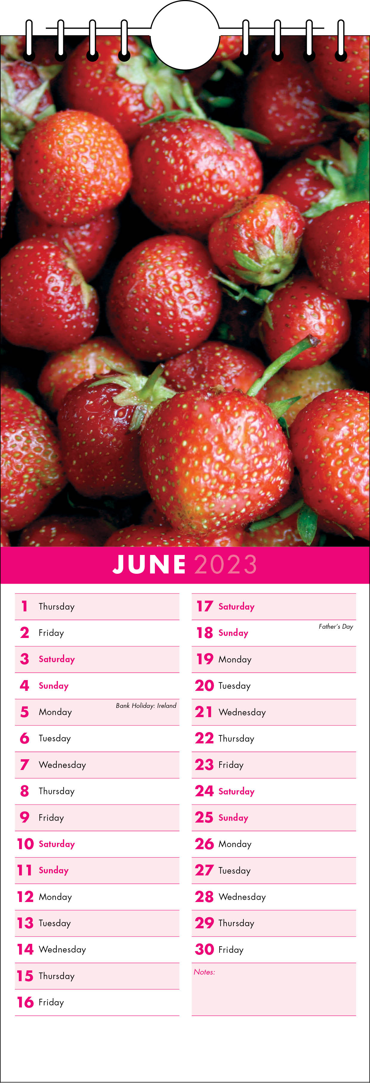 Picture of Kitchen Calendar K05 Hot Pink