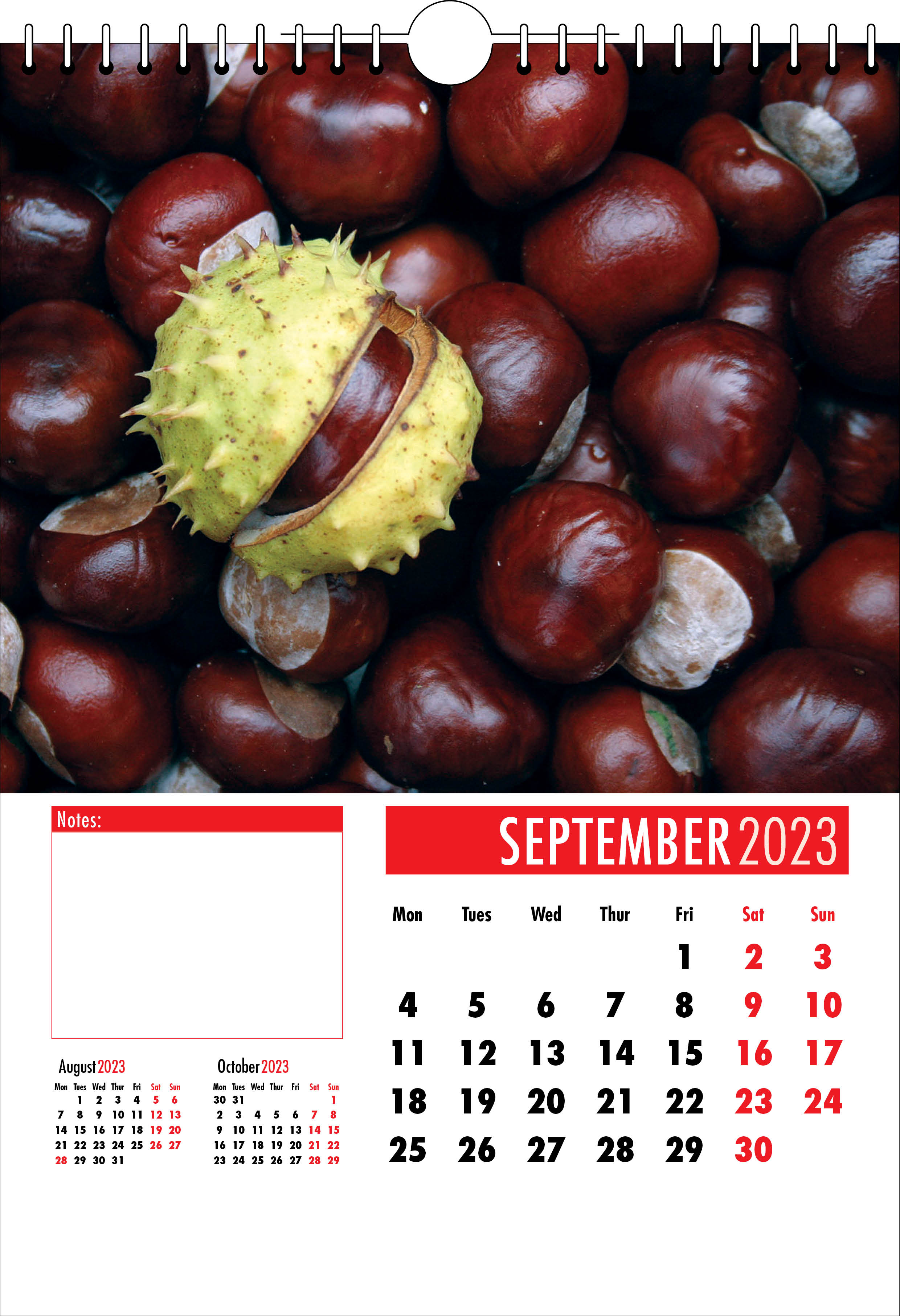 Picture of Spiral Calendar S06 Red