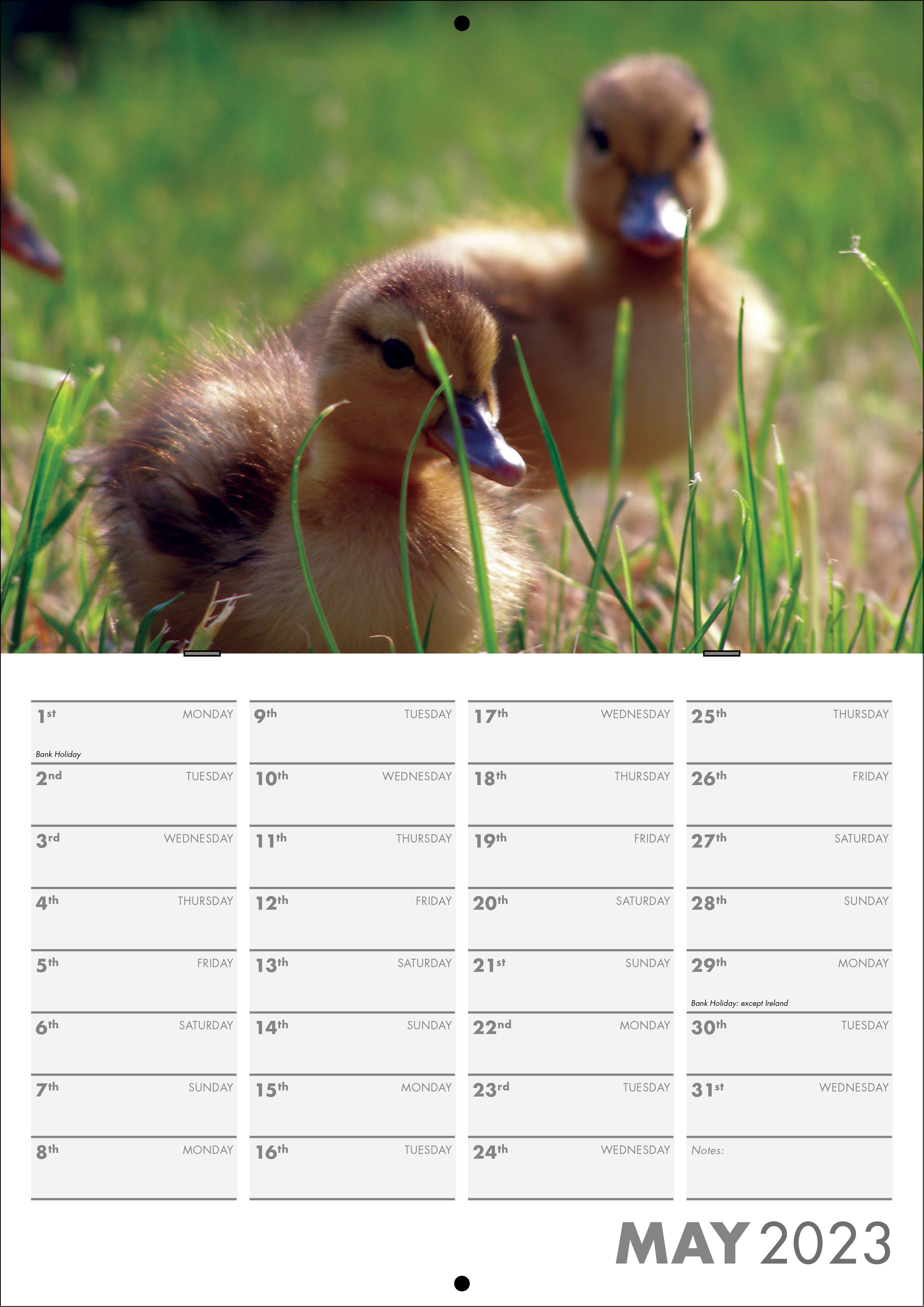Picture of Booklet Calendar B02 Grey