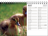 Picture of Desk Calendar D05 Grey