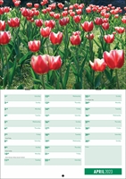 Picture of Booklet Calendar B04 Green