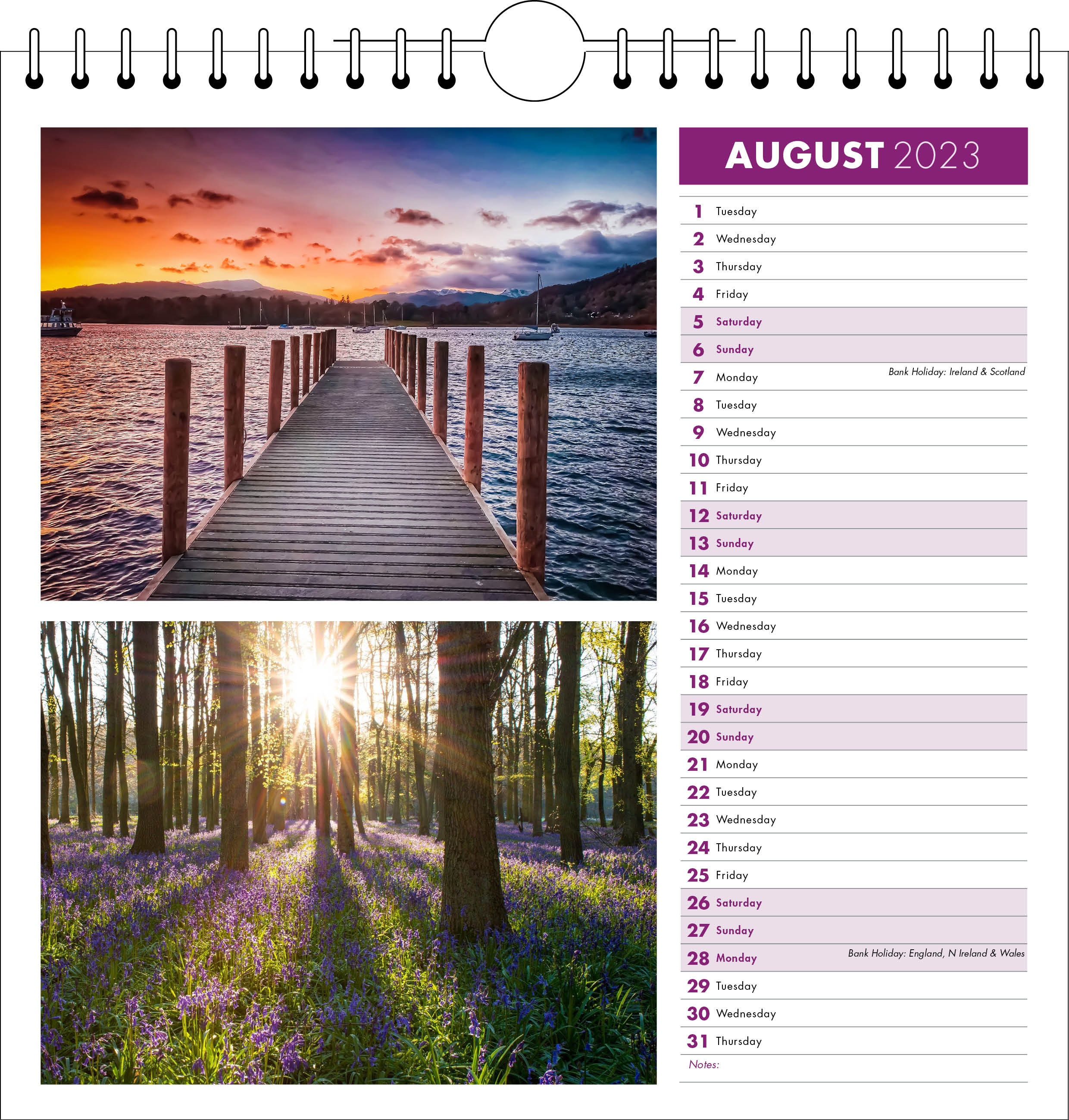 Picture of Spiral Calendar Q20 Purple