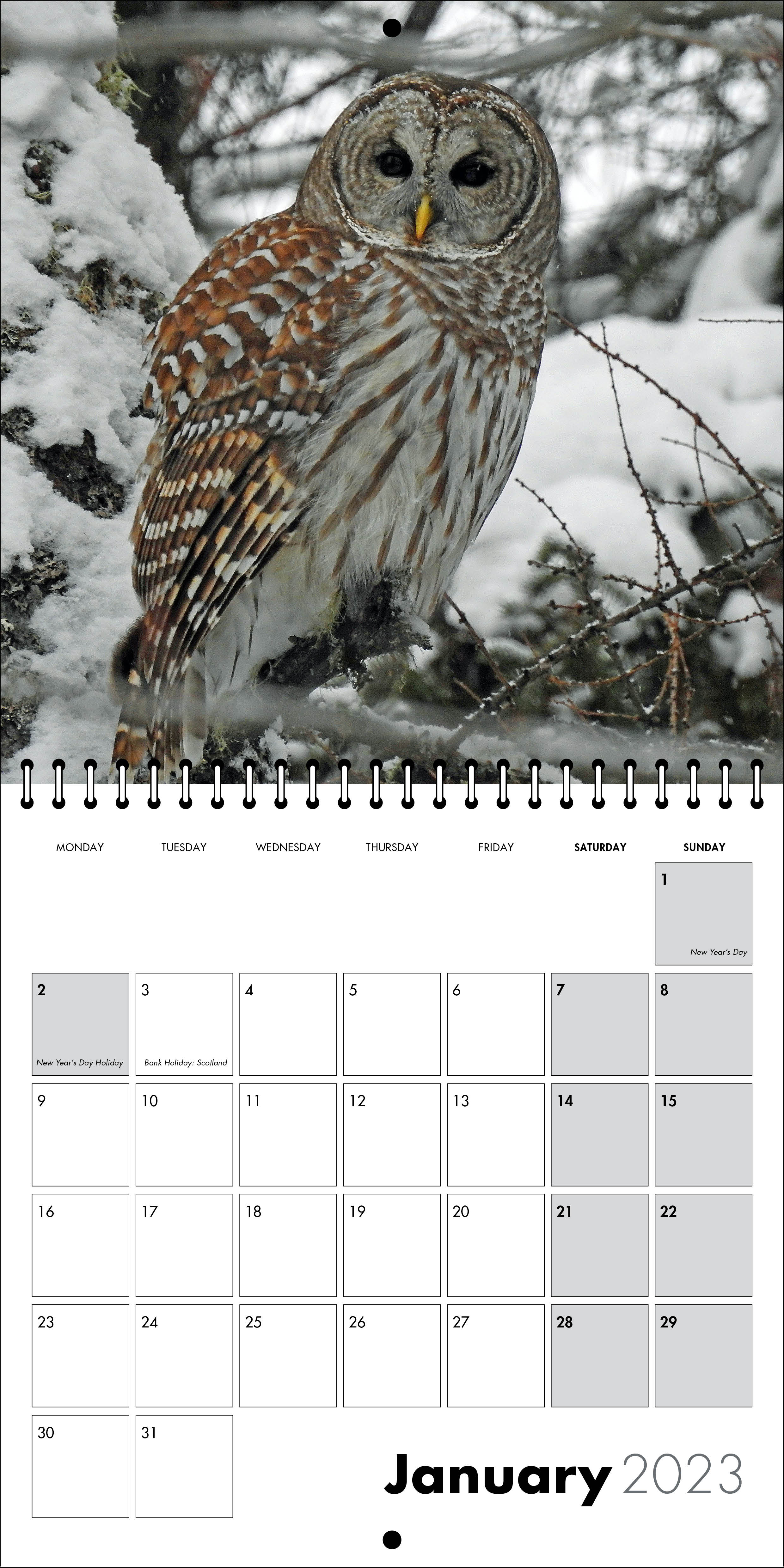 Picture of Square Spiral Booklet Calendar QF02 Black