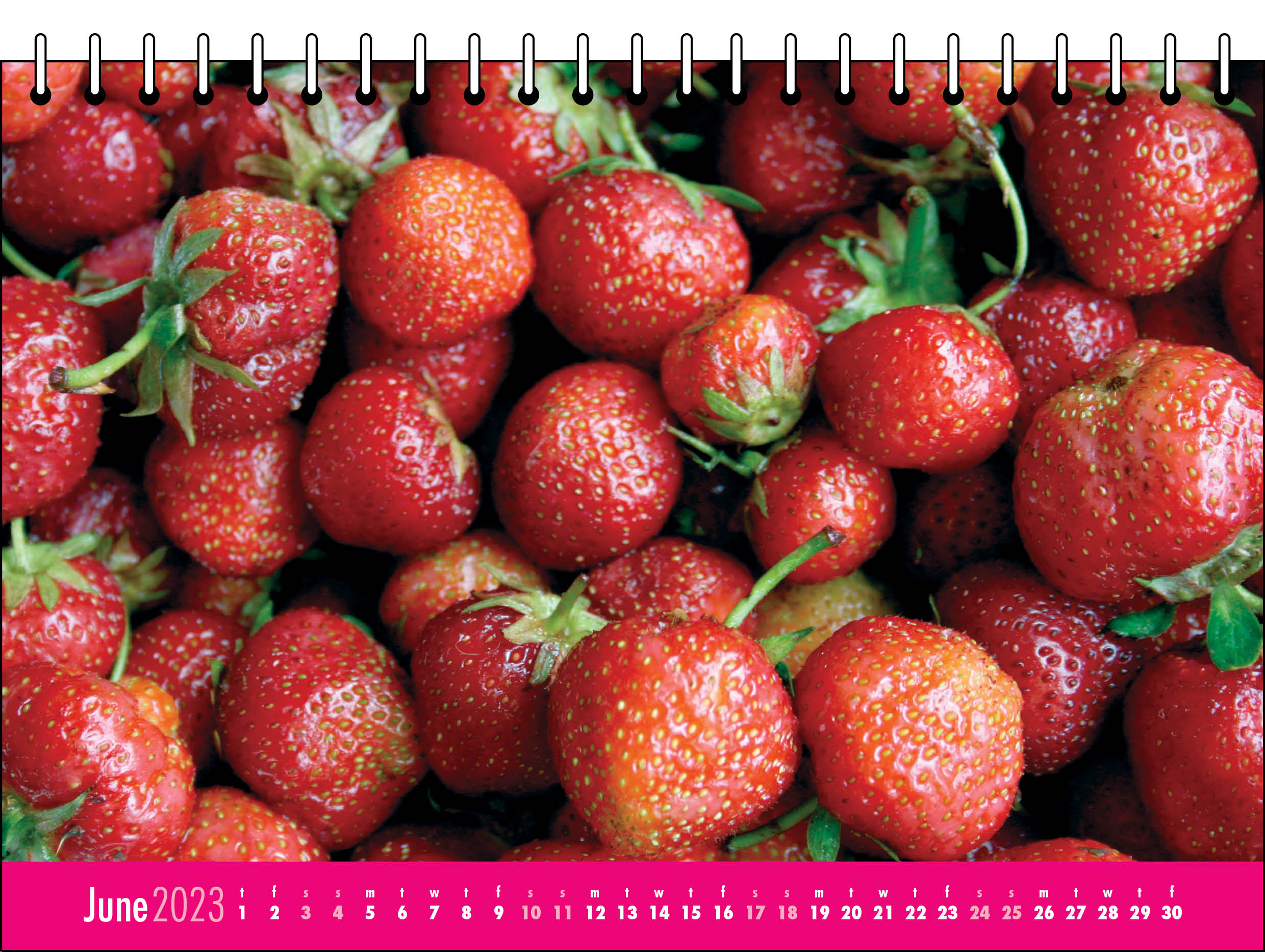 Picture of Desk Calendar D04 Hot Pink