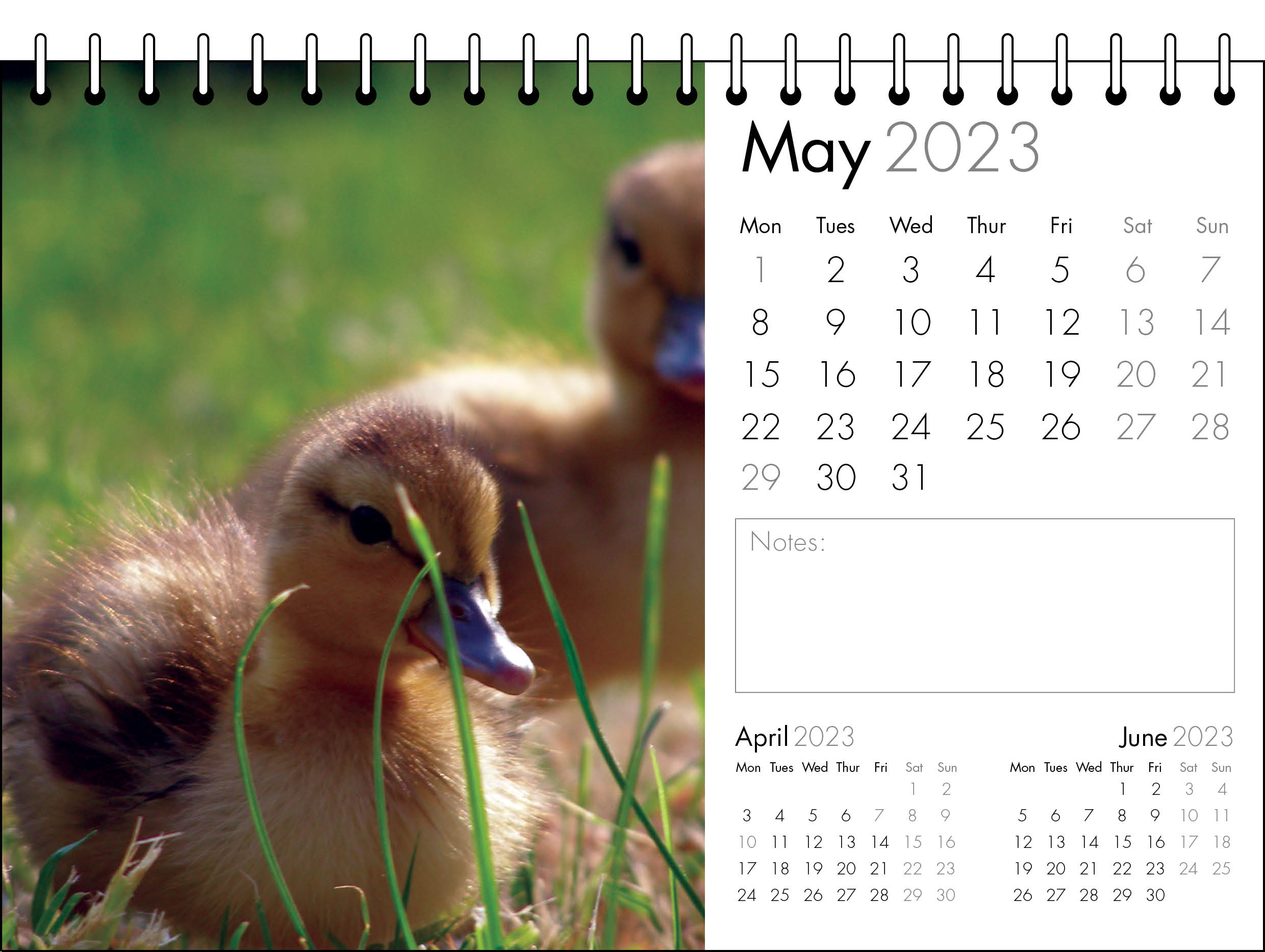 Picture of Desk Calendar D03 Grey