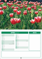 Picture of Booklet Calendar B05 Green