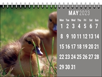 Picture of Desk Calendar D08 Grey