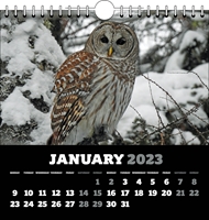 Picture of Spiral Calendar Q19 Black