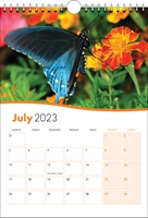 Picture of Spiral Calendar S02 Orange
