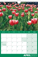 Picture of Spiral Calendar S17 Green