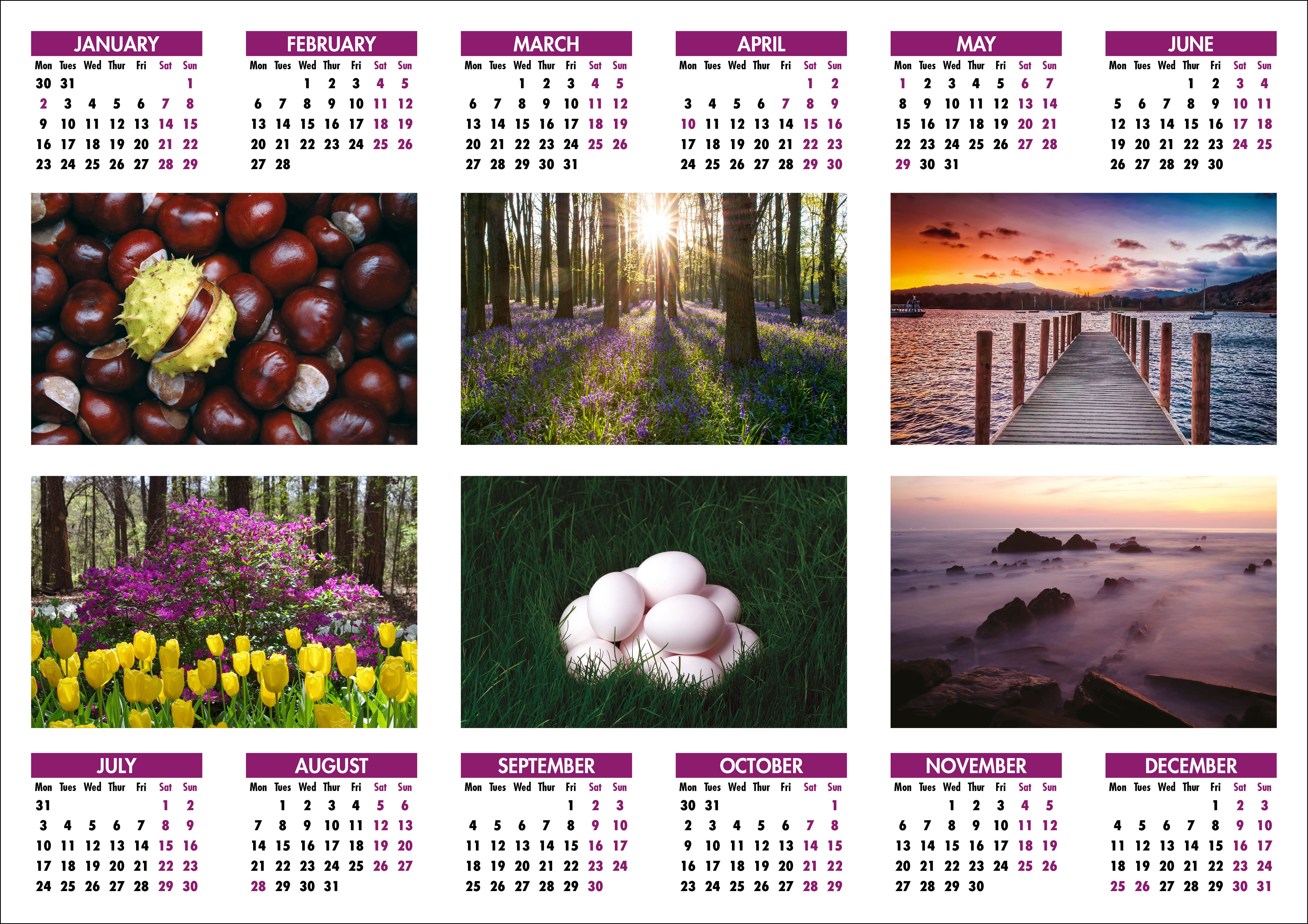 Picture of Yearplanner W03 Purple