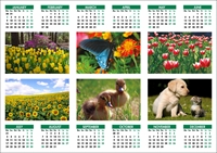 Picture of Yearplanner W03 Green