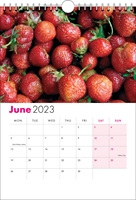 Picture of Spiral Calendar S07 Hot Pink