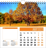 Picture of Spiral Calendar Q06 Orange
