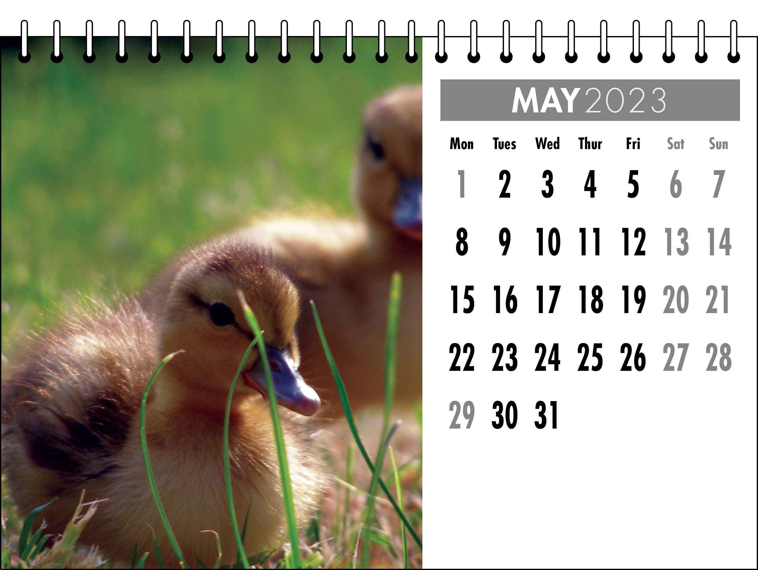 Picture of Desk Calendar D06 Grey