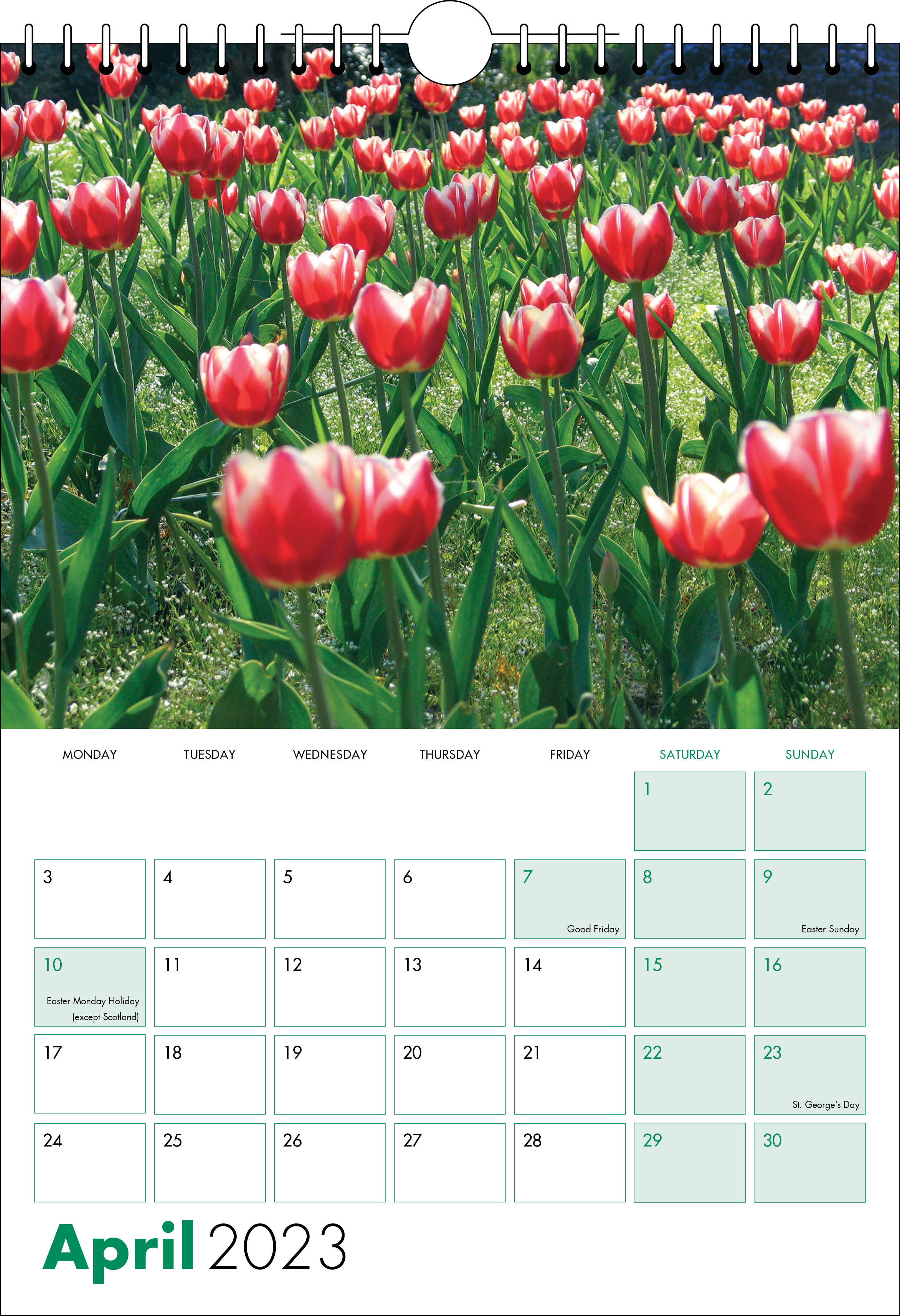 Picture of Spiral Calendar S08 Green