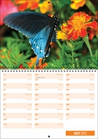 Picture of Spiral Booklet Calendar F04 Orange