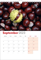Picture of Spiral Calendar S07 Red