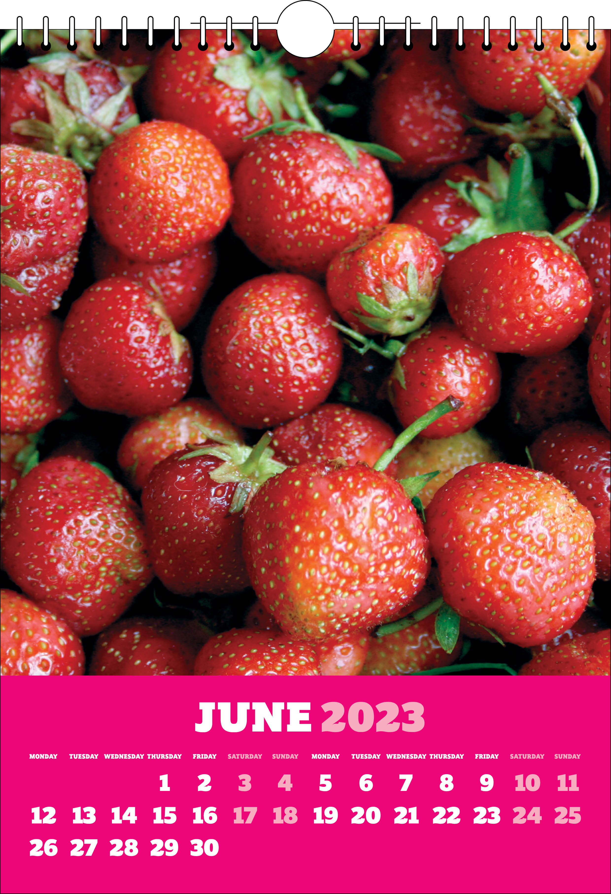Picture of Spiral Calendar S19 Hot Pink