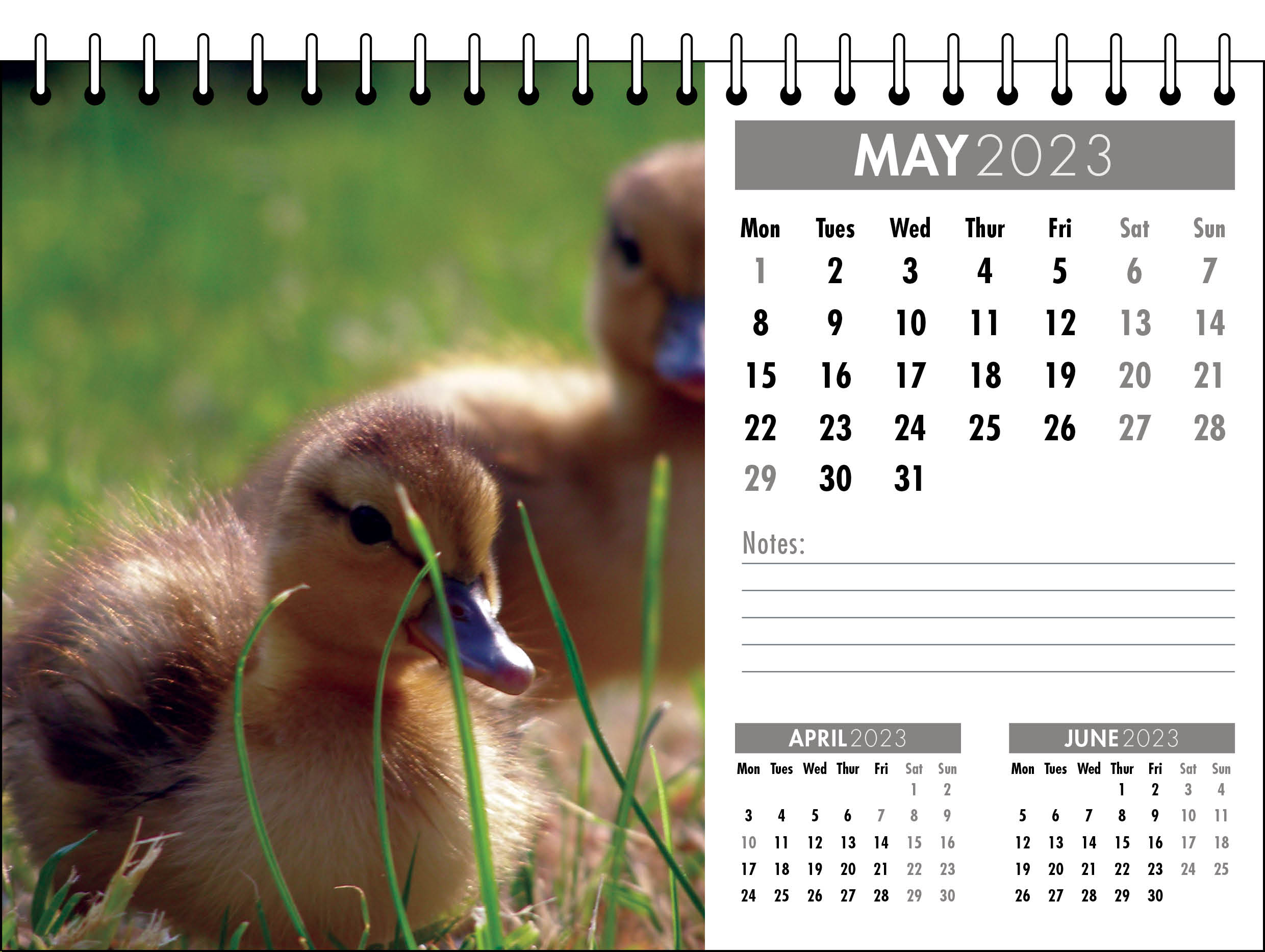 Picture of Desk Calendar D09 Grey