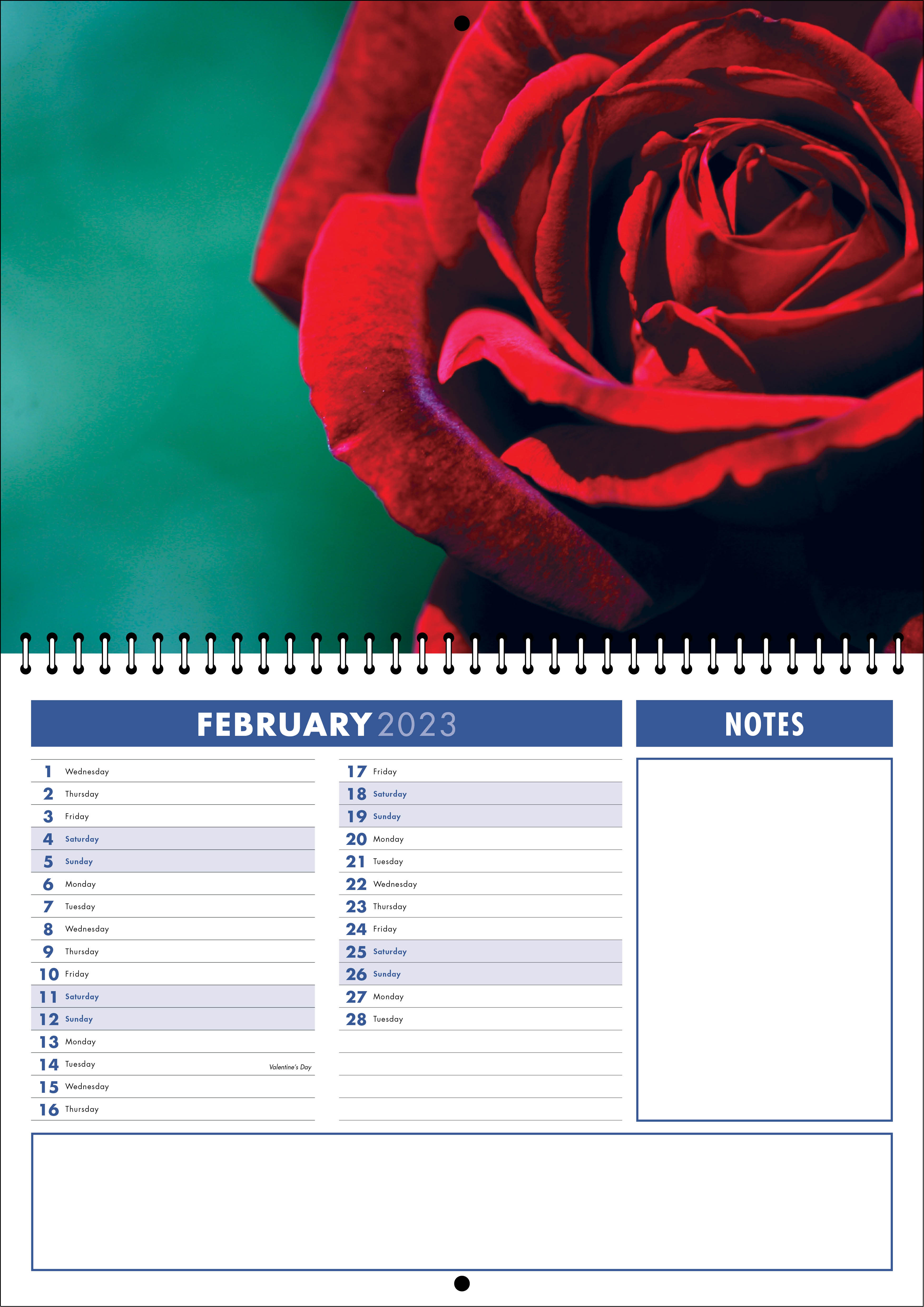 Picture of Spiral Booklet Calendar F05 Blue