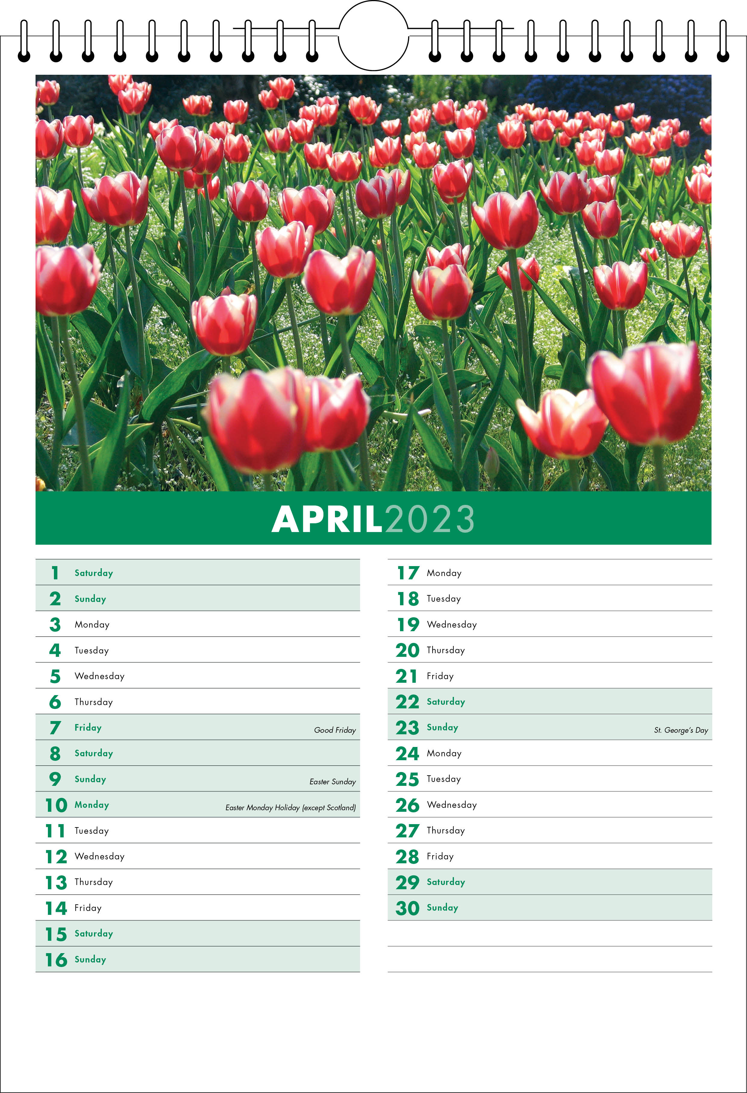 Picture of Spiral Calendar S03 Green