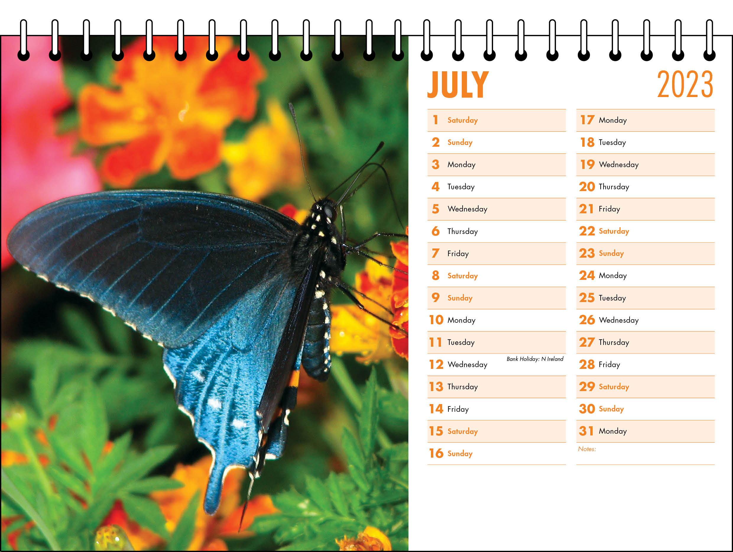Picture of Desk Calendar D05 Orange