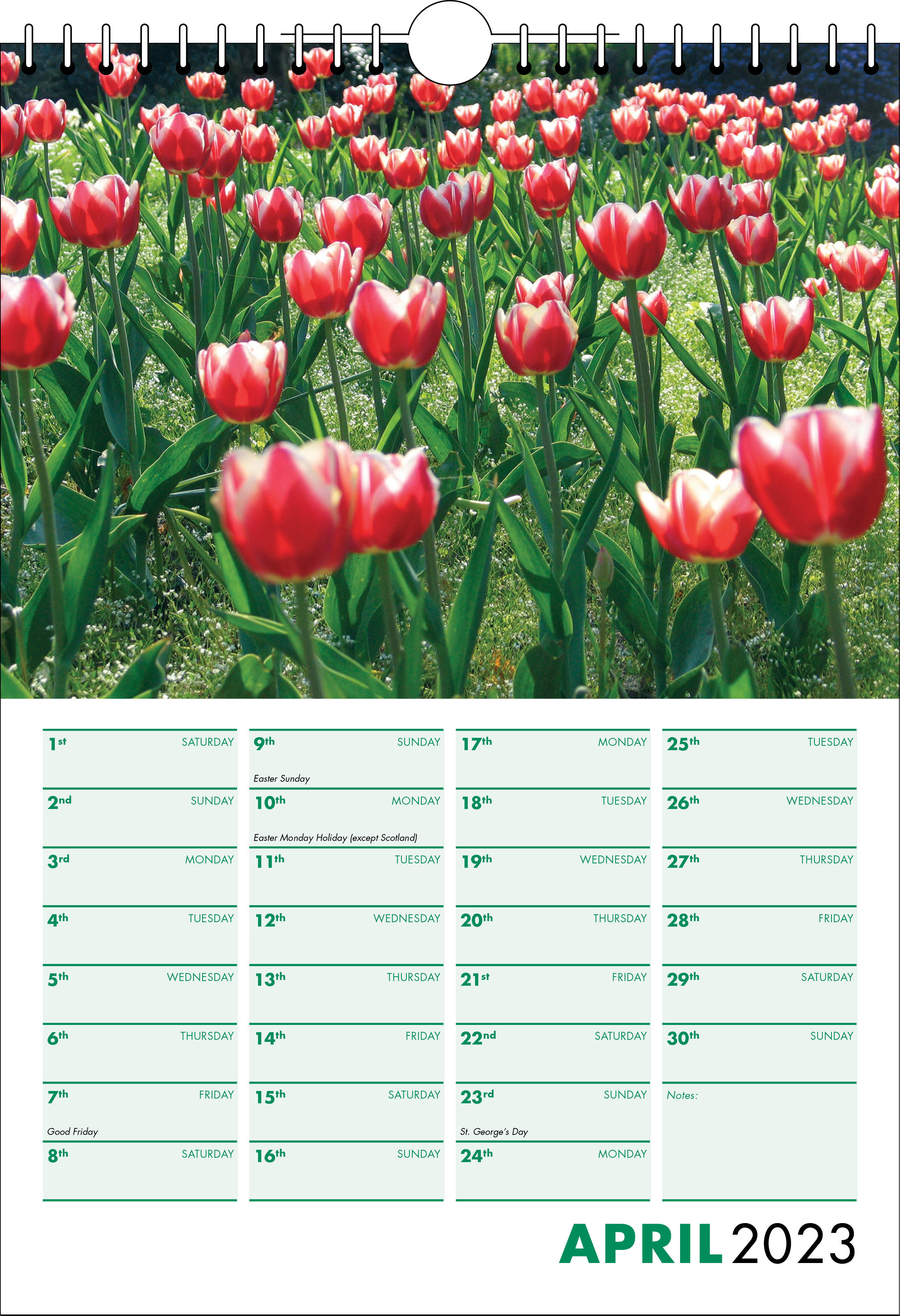 Picture of Spiral Calendar S10 Green