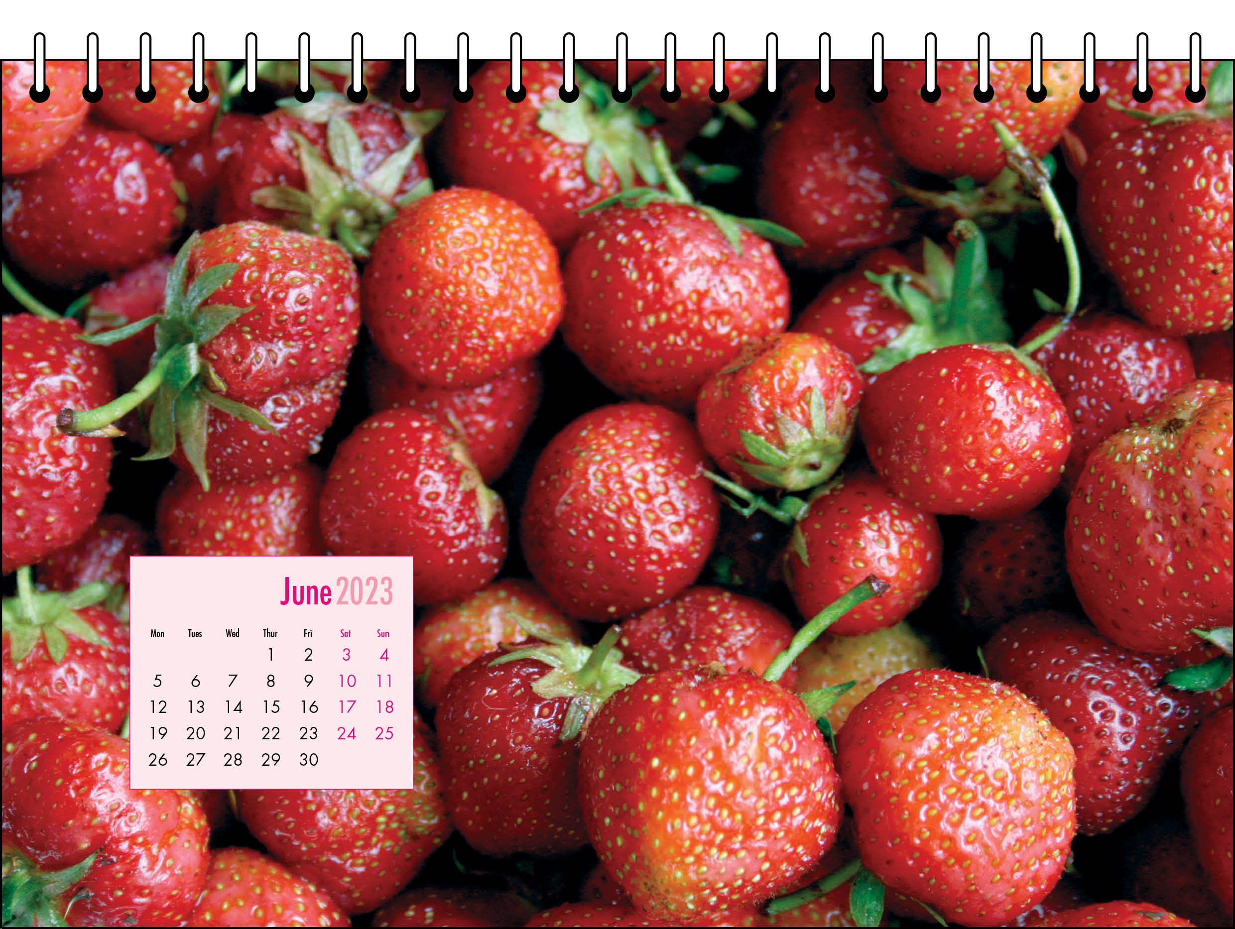 Picture of Desk Calendar D12 Hot Pink
