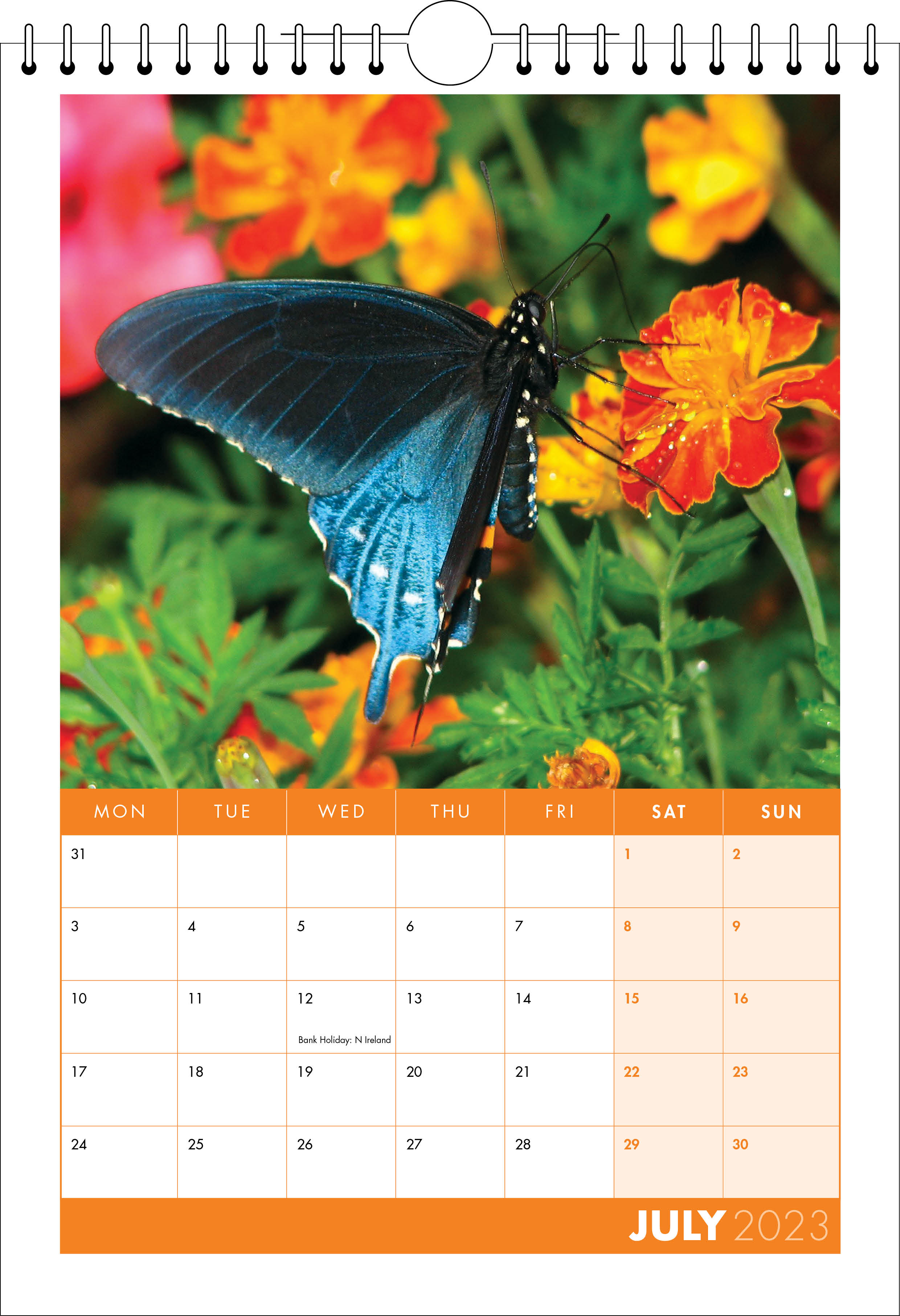 Picture of Spiral Calendar S14 Orange