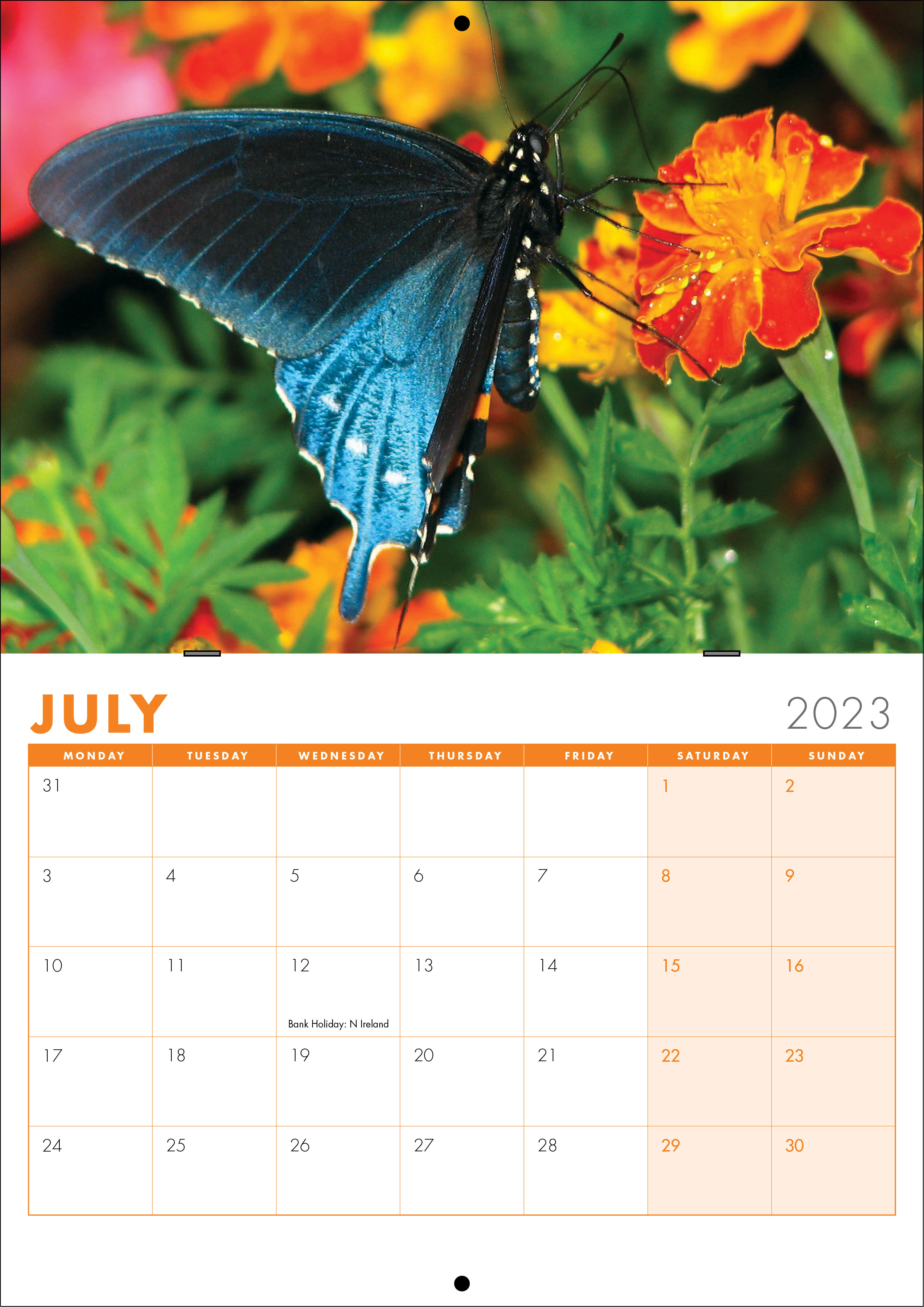 Picture of Booklet Calendar B01 Orange