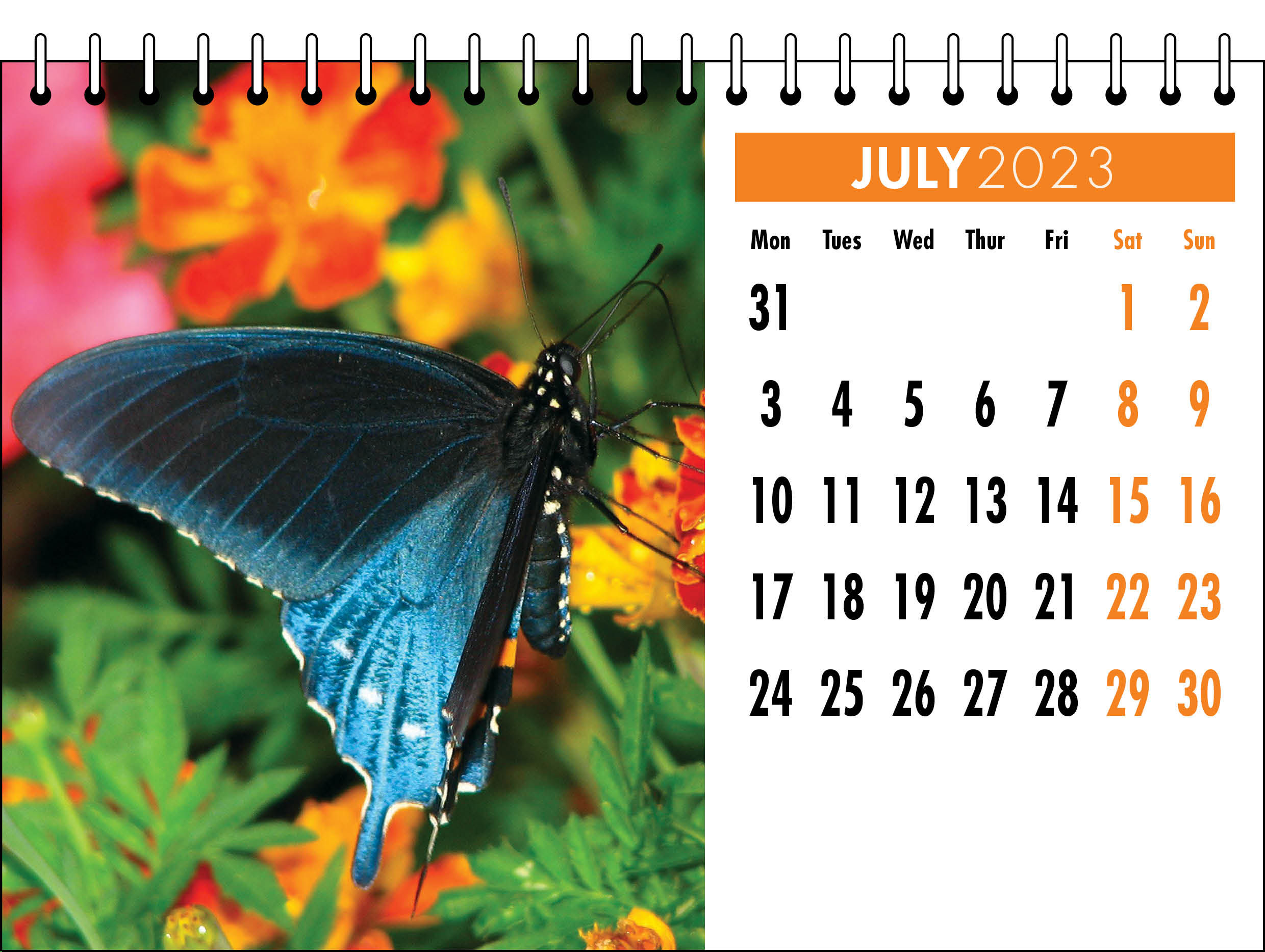 Picture of Desk Calendar D06 Orange