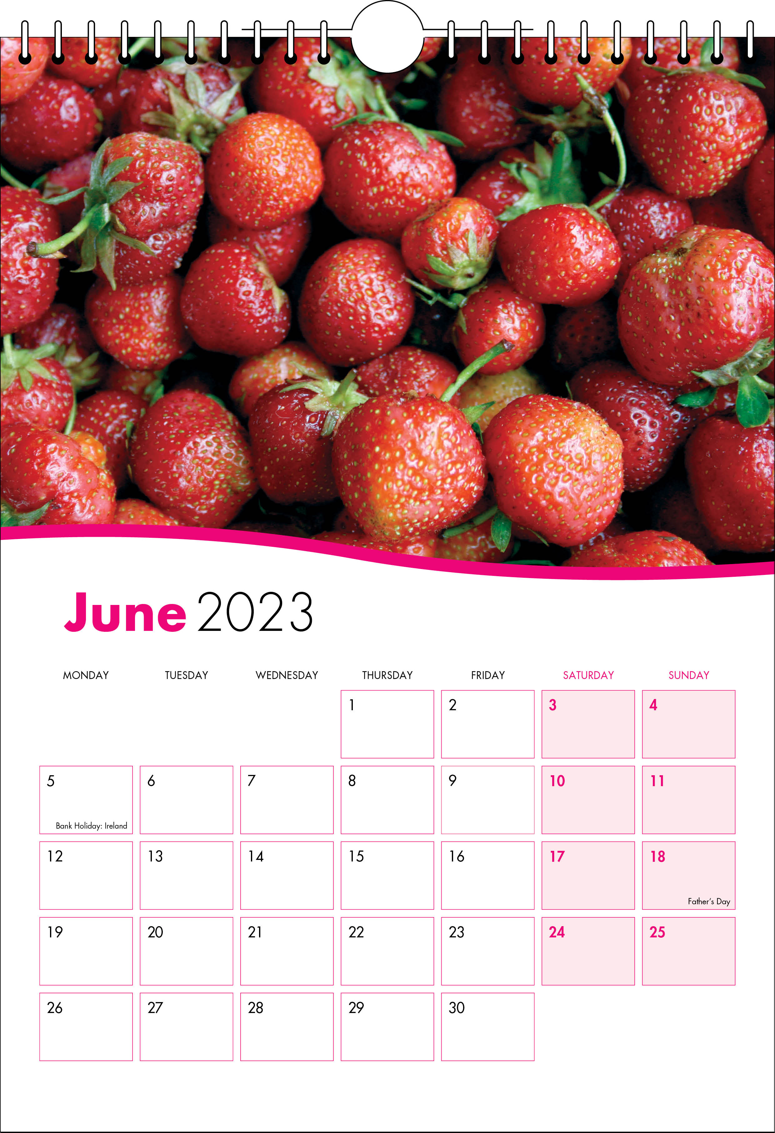 Picture of Spiral Calendar S02 Hot Pink