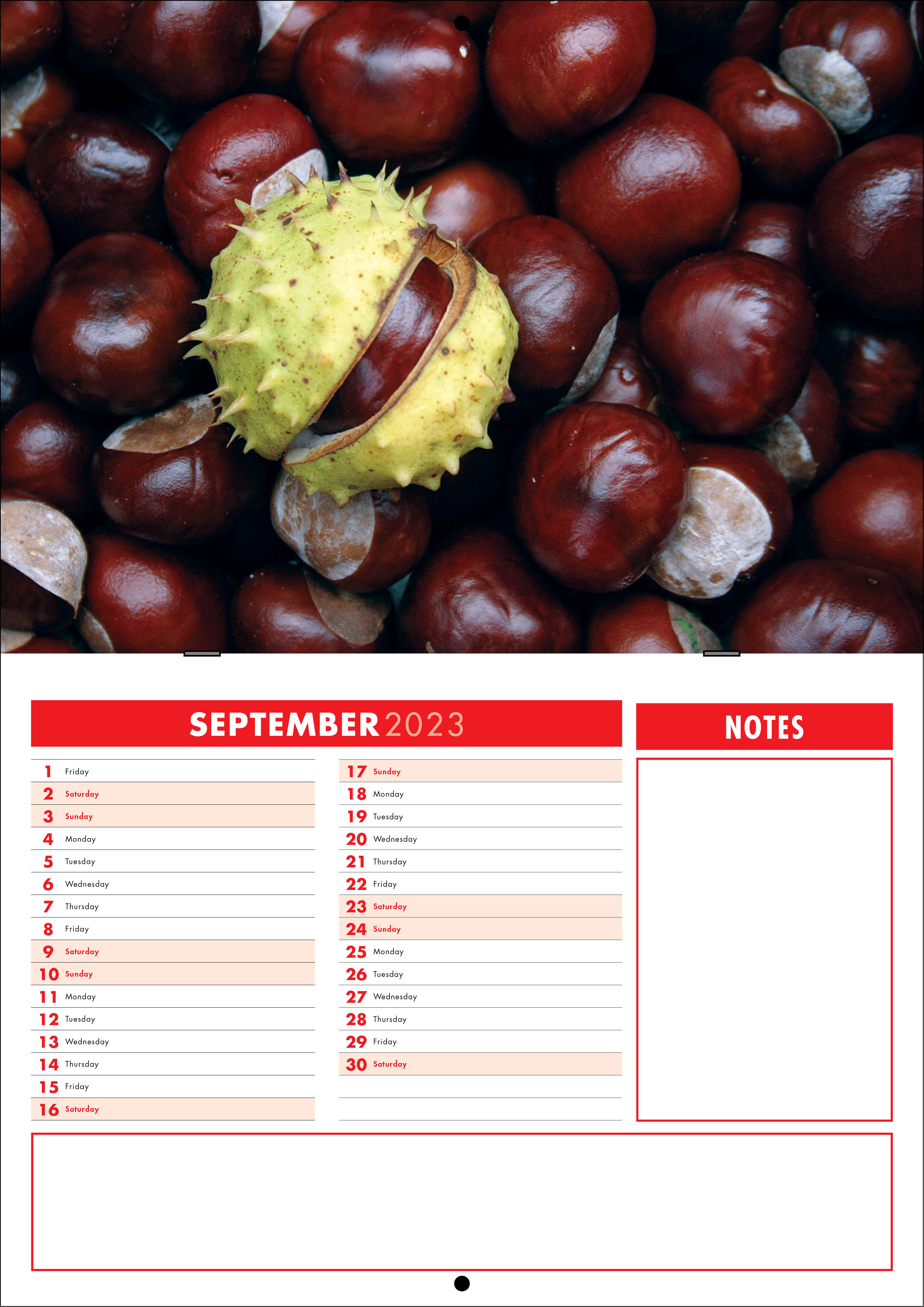 Picture of Booklet Calendar B05 Red