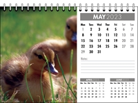 Picture of Desk Calendar D09 Grey