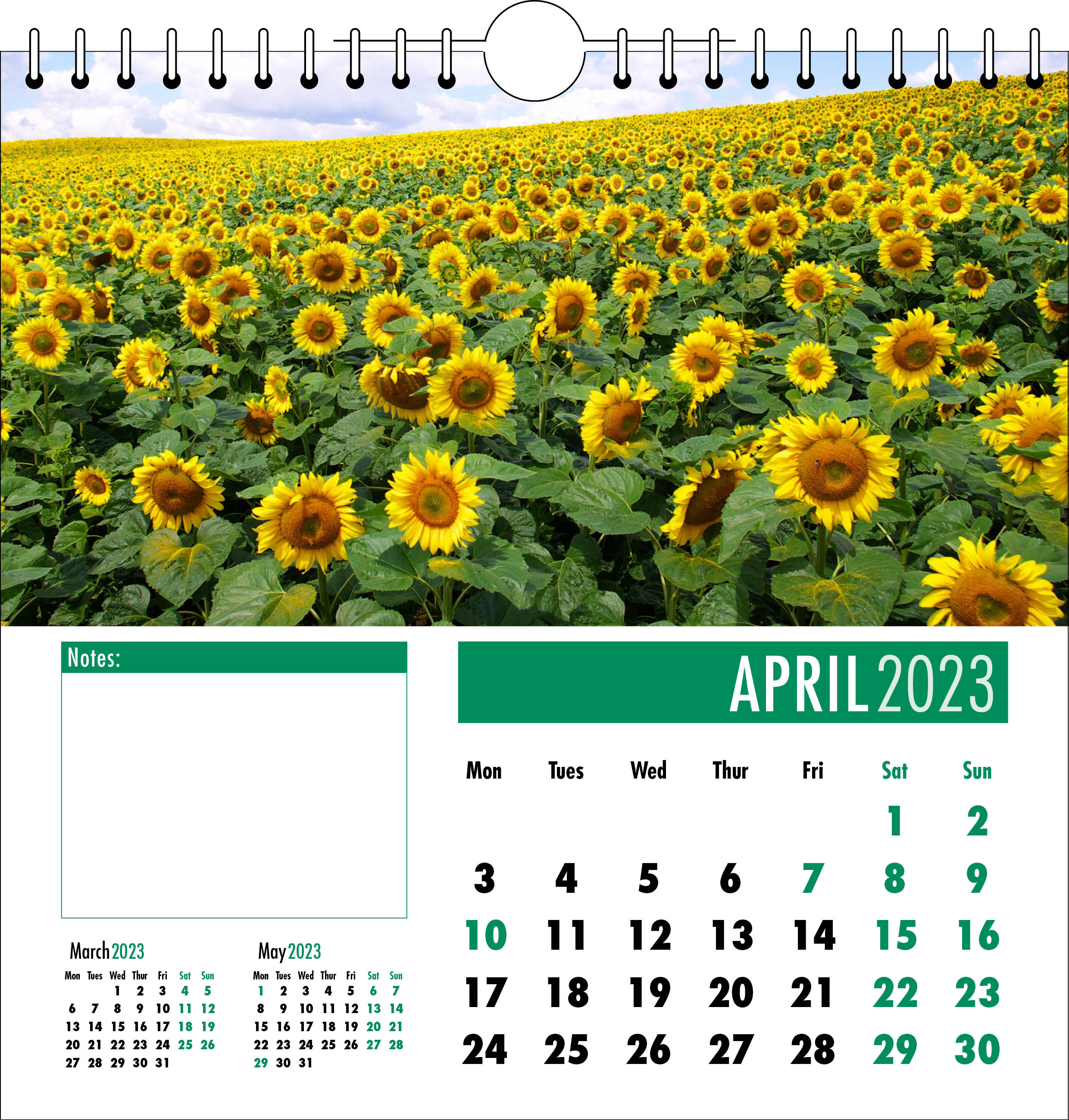 Picture of Spiral Calendar Q06 Green