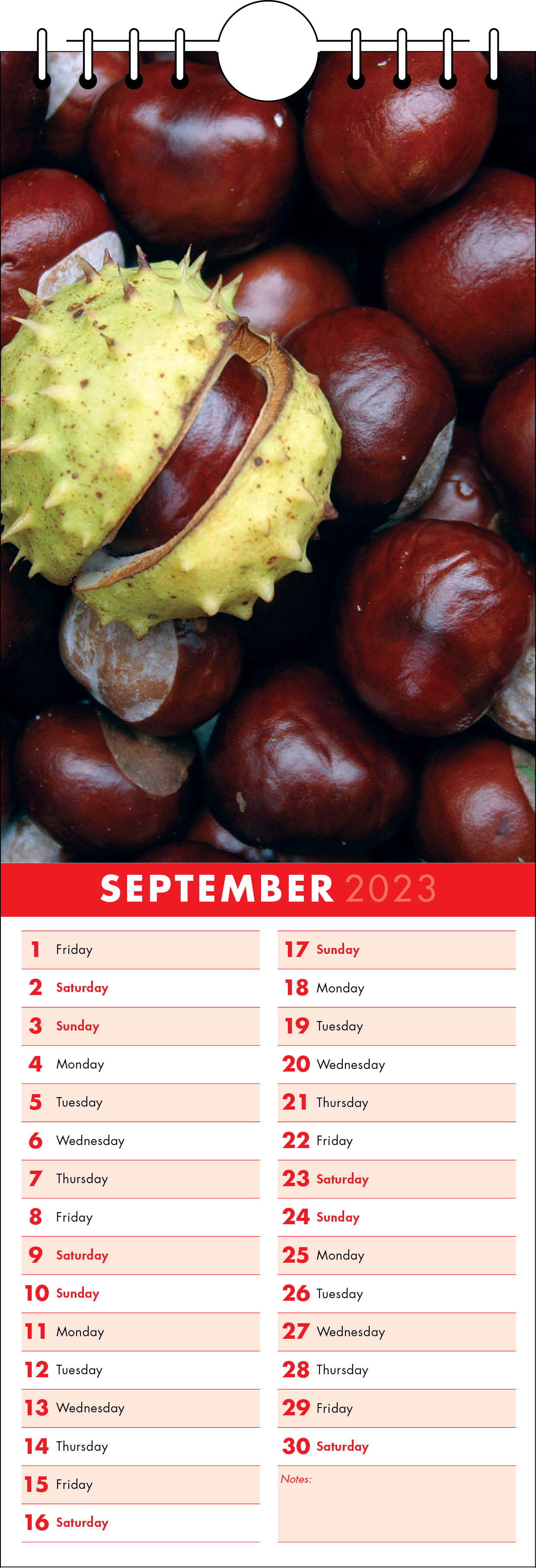 Picture of Kitchen Calendar K06 Red